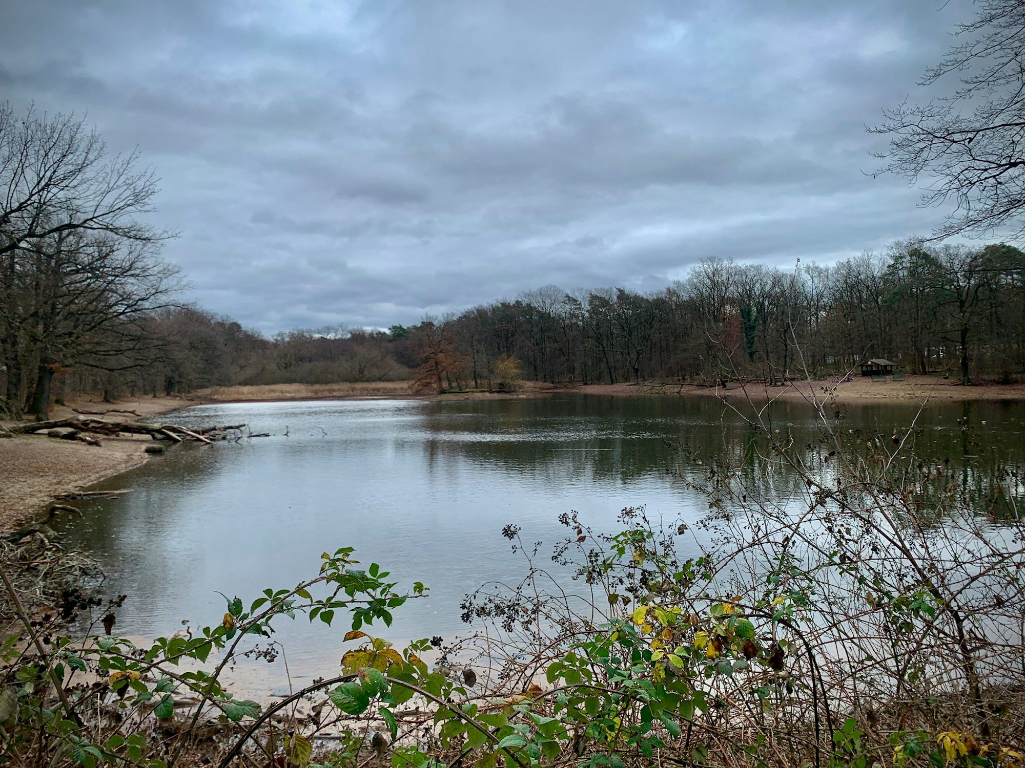 Ein Blick auf den Scheuermühlenteich in Köln-Wahnheide.