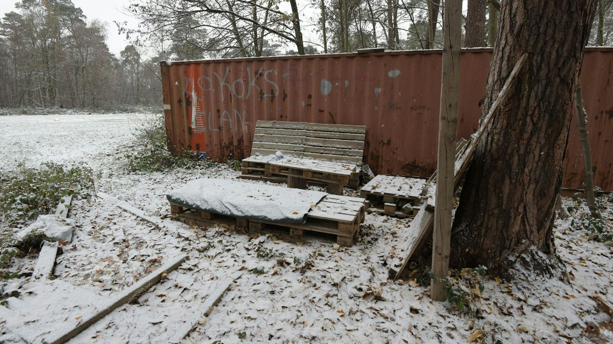 Aus Europalatten wurde eine provisorische Sitzgelegenheit gebaut. Sie befindet sich an einer Waldlichtung neben einem roten Überseecontainer.