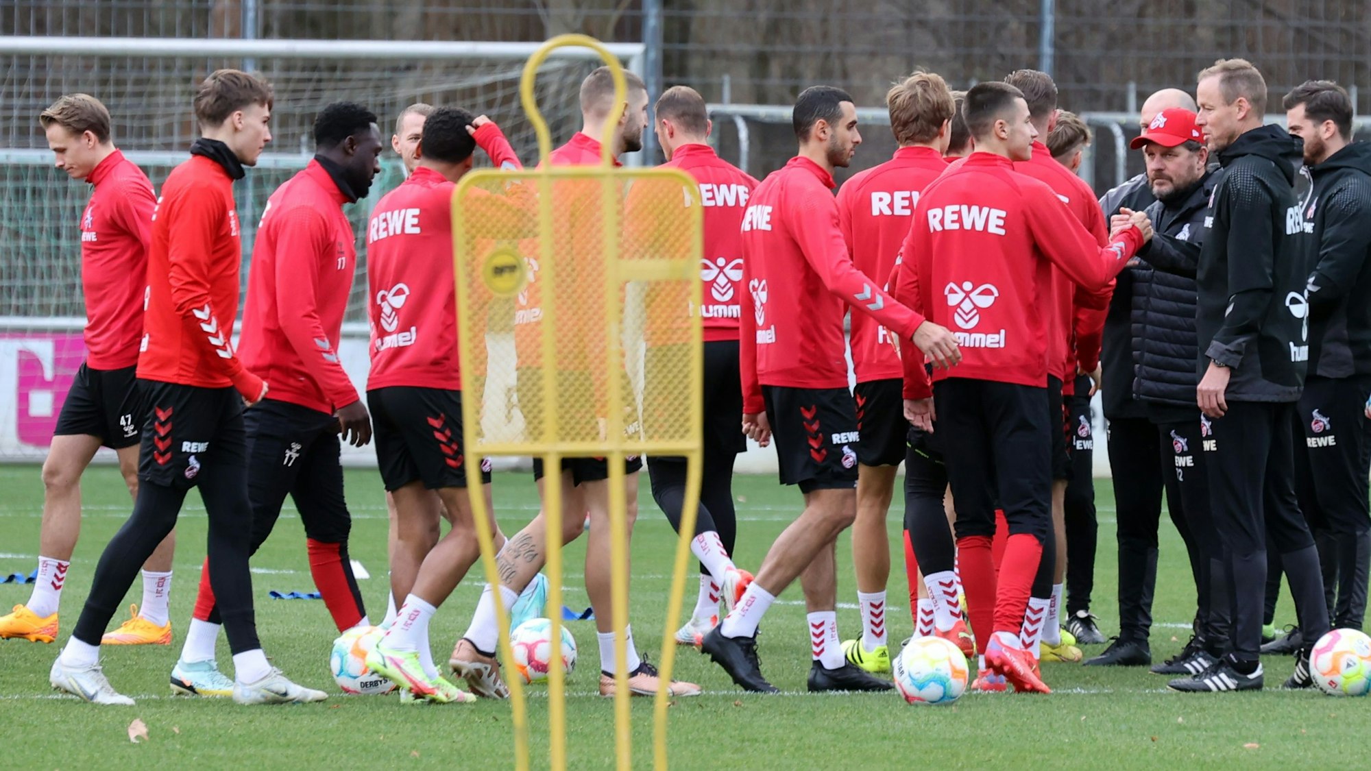 Die Profis des 1. FC Köln klatschen Steffen Baumgart ab.