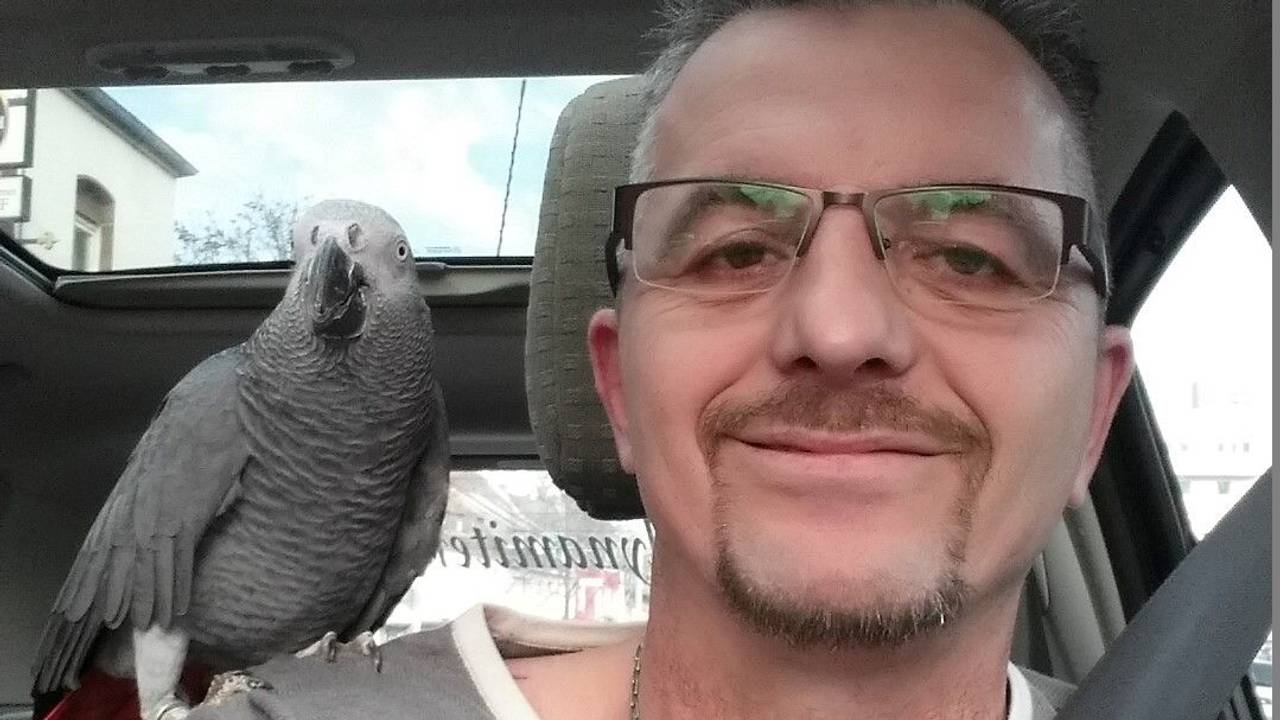 Ingo Stromberg mit Papagei Freddy: Der Vogel sitzt auf der Schulter.