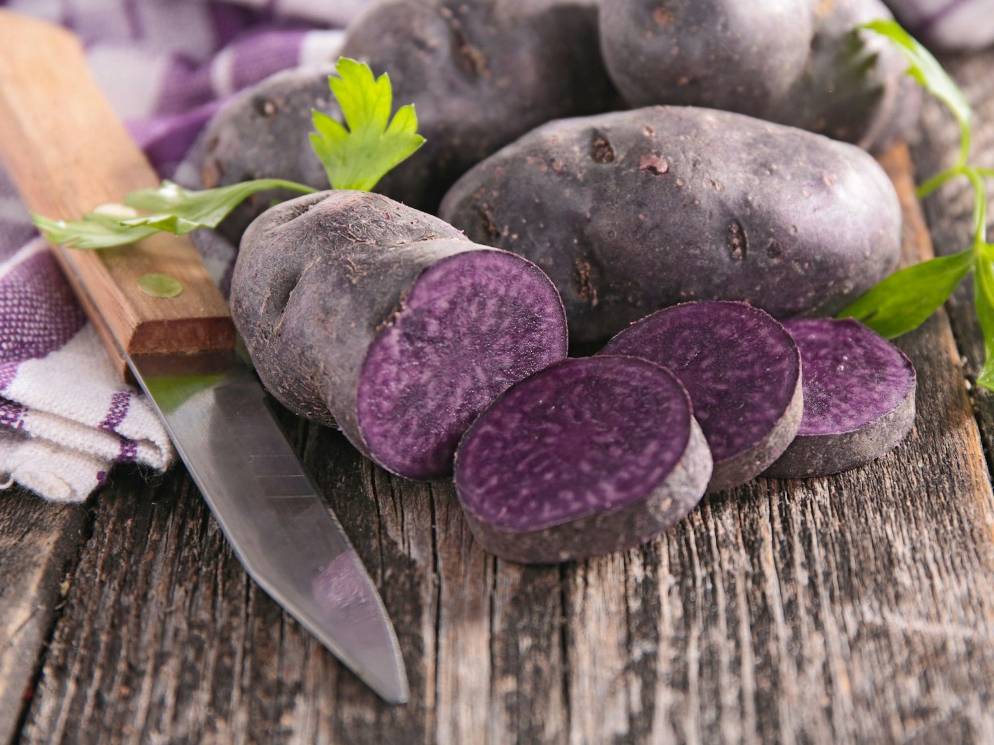 Vitelotte, die Ur-Kartoffel.