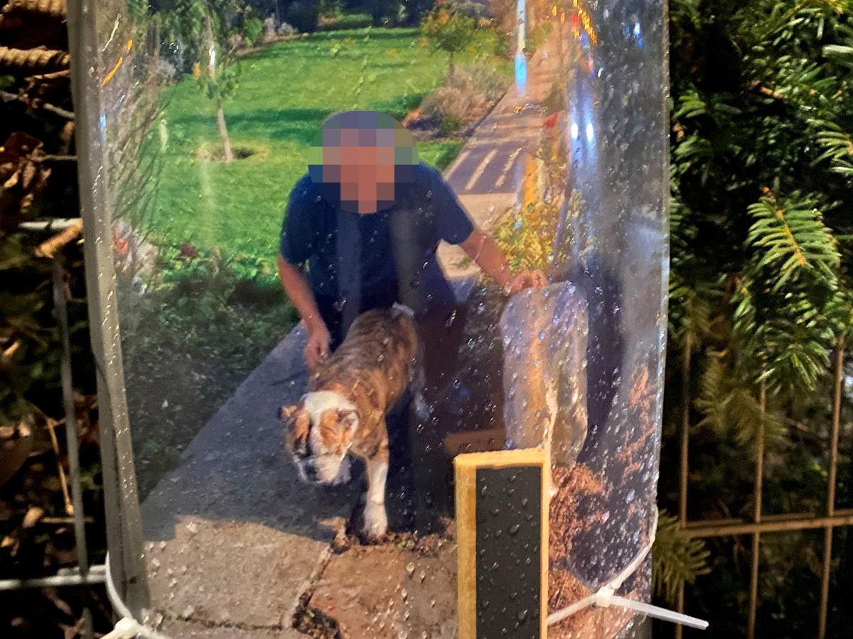 Ein Foto eines Mannes mit seinem Hund hängt an einer Laterne.