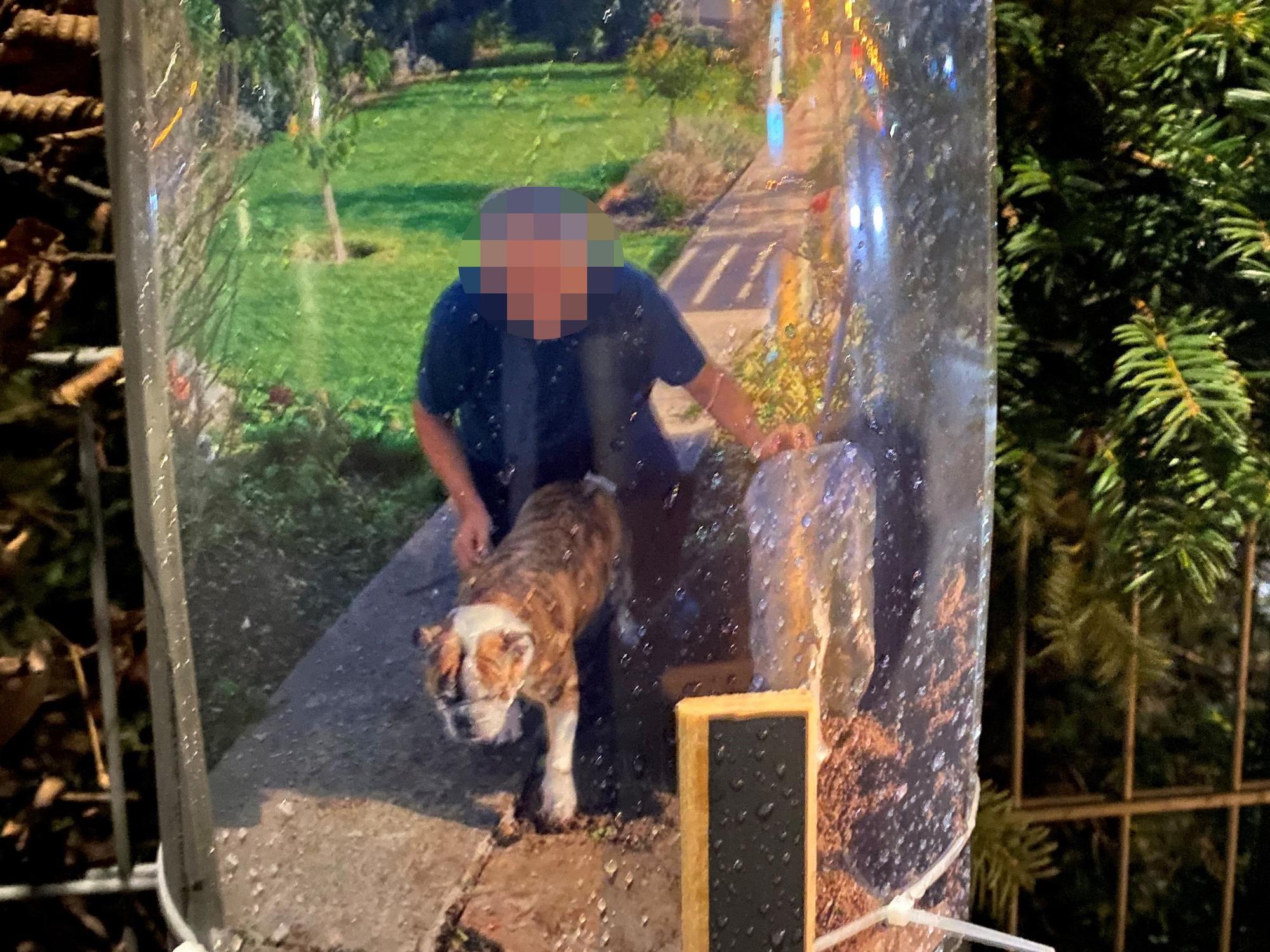 Ein Mann kniet hinter einem Hund.