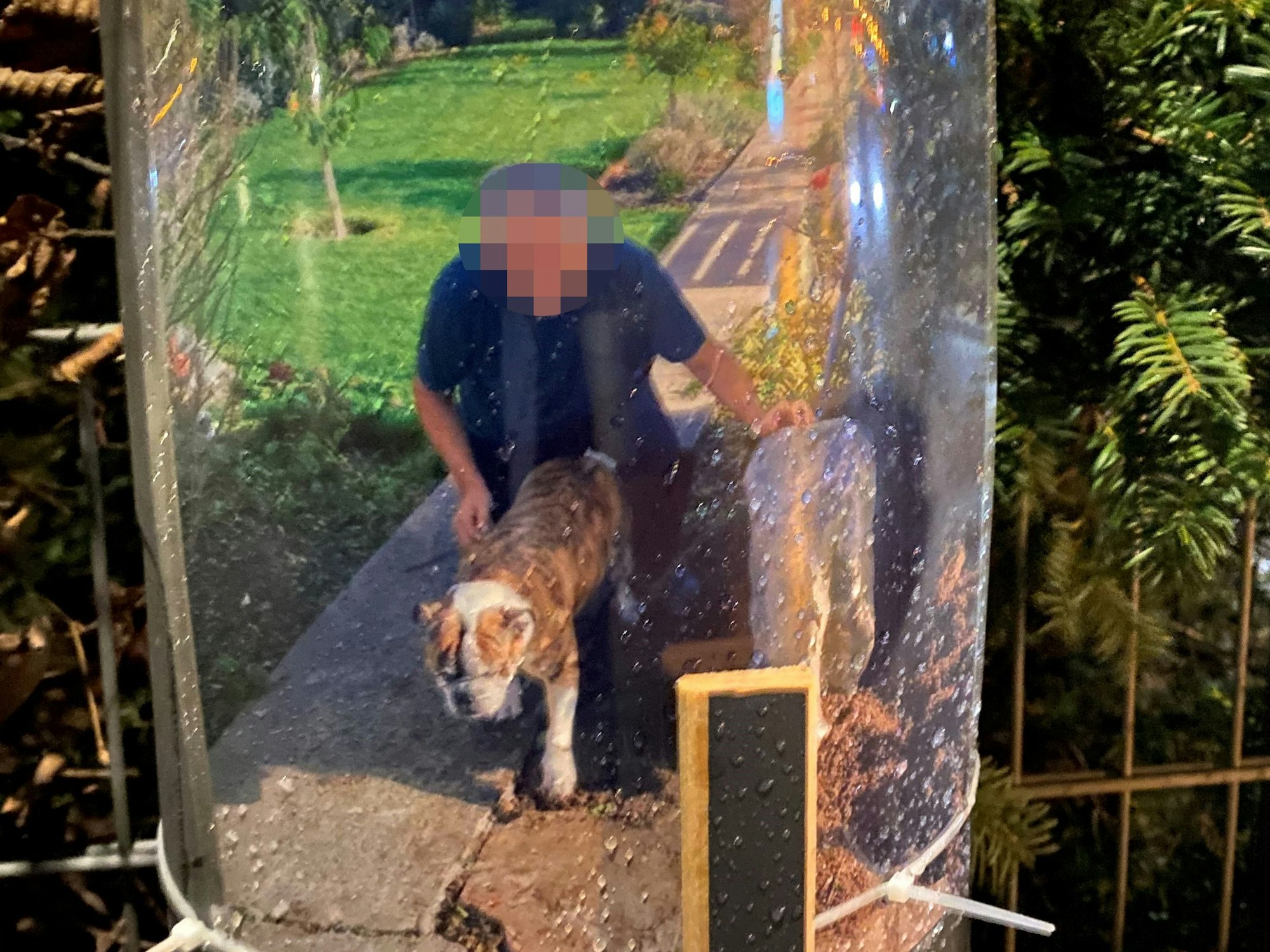 Ein Foto eines Mannes mit seinem Hund hängt an einer Laterne.