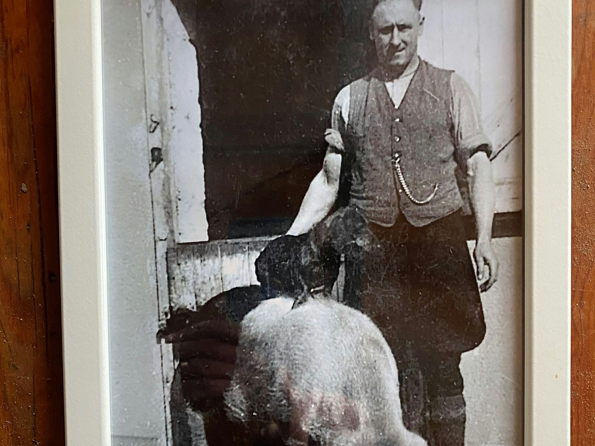 Ein Mann steht neben einem Schwein.