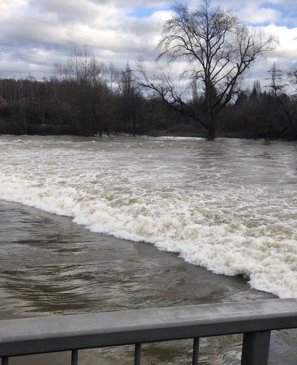 Hochwasser: Blick auf die Sieg bei Siegburg.
