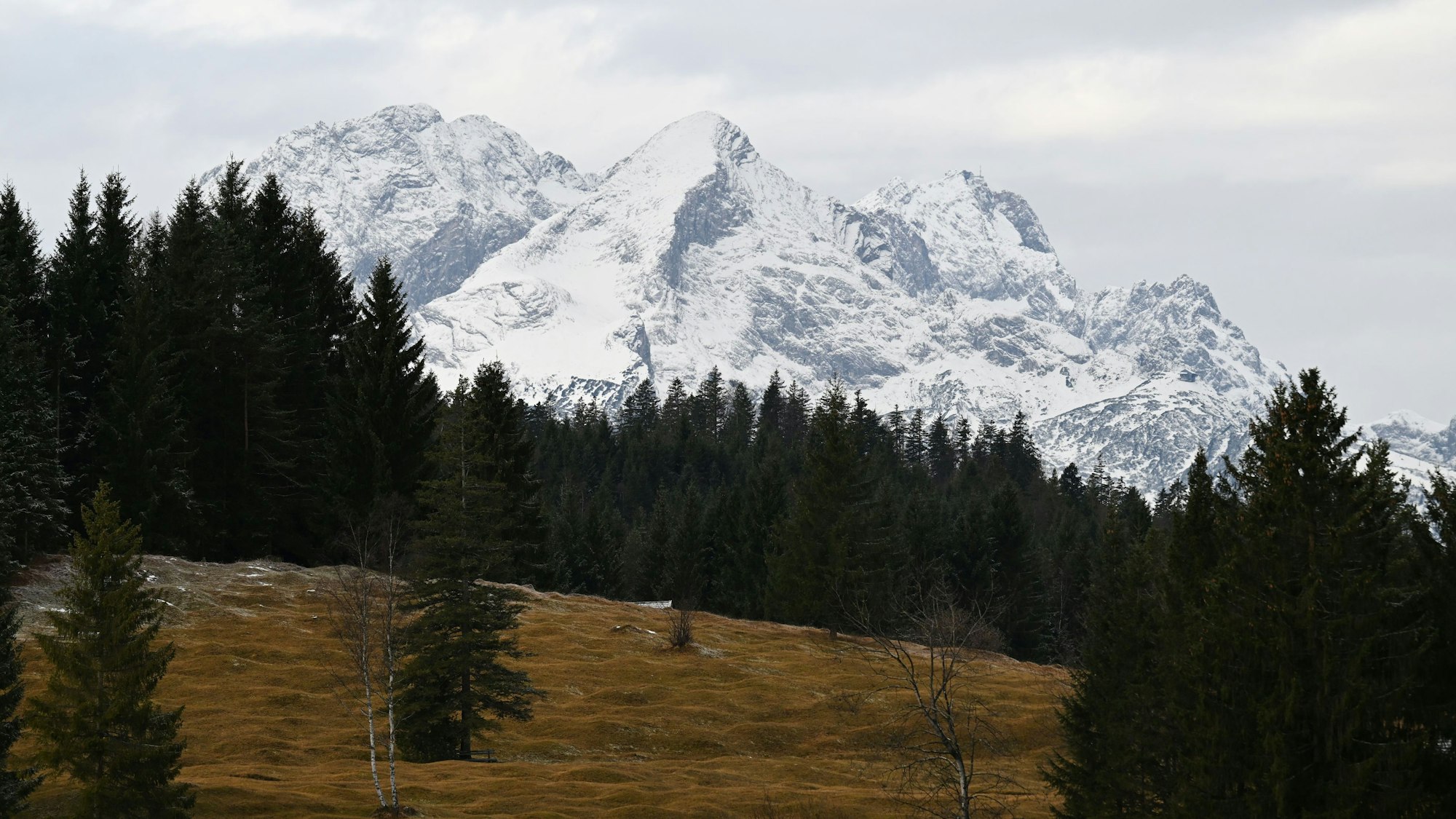 Braune Buckelwiesen sind vor der schneebedeckten Alpspitze und Zugspitze im Wettersteingebirgen zu sehen.