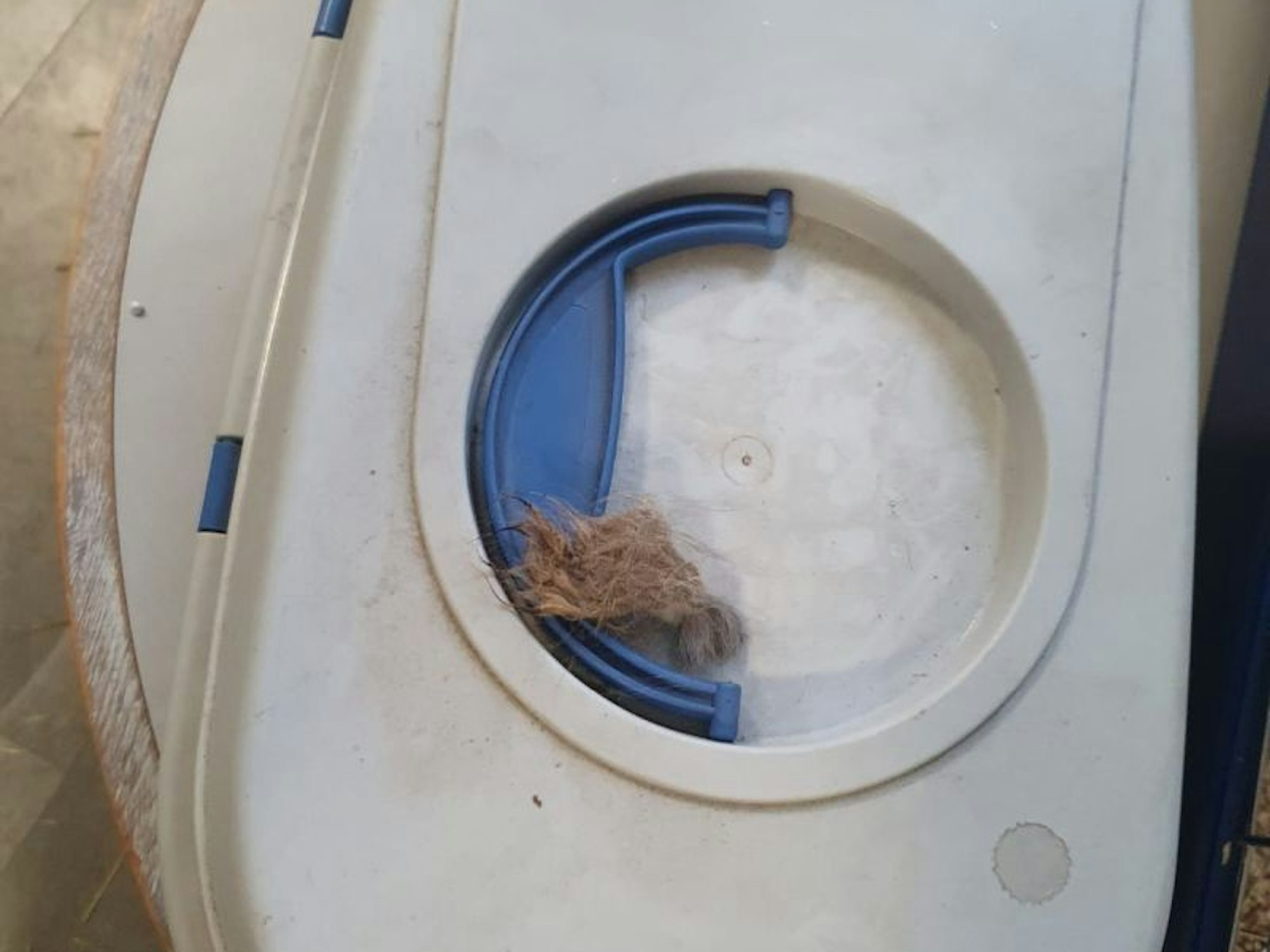 Eine Transportbox für eine Katze.