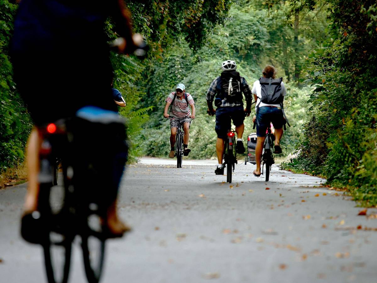 Fahrradfahrer fahren unter Bäumen auf einem Radweg in einem Park.