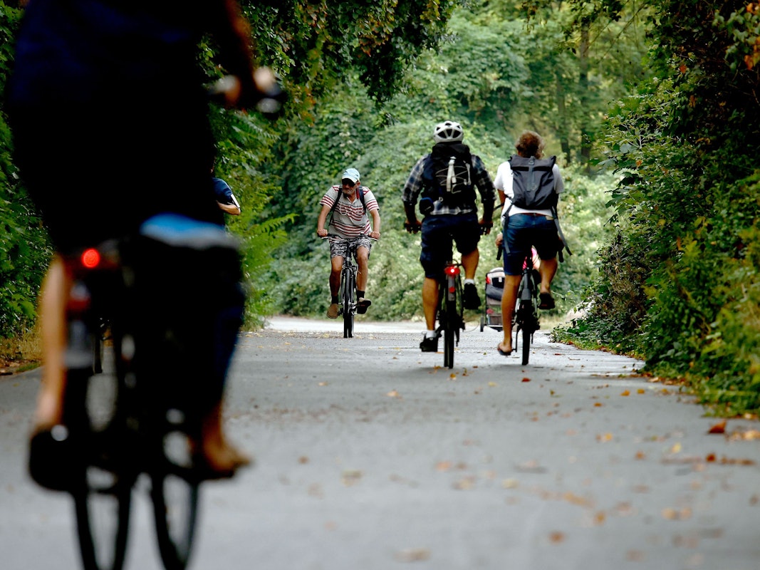Fahrradfahrer fahren unter Bäumen auf einem Radweg in einem Park.