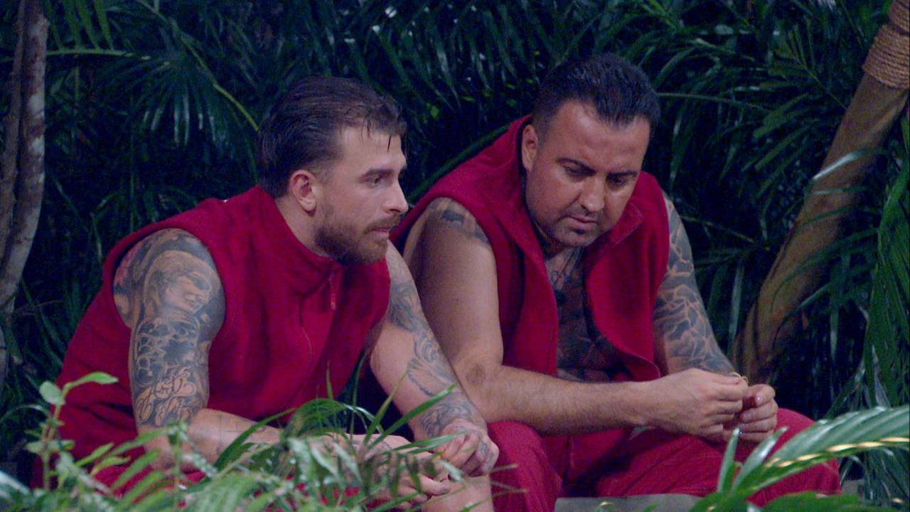 Gigi und Cosimo, hier im Dschungelcamp.