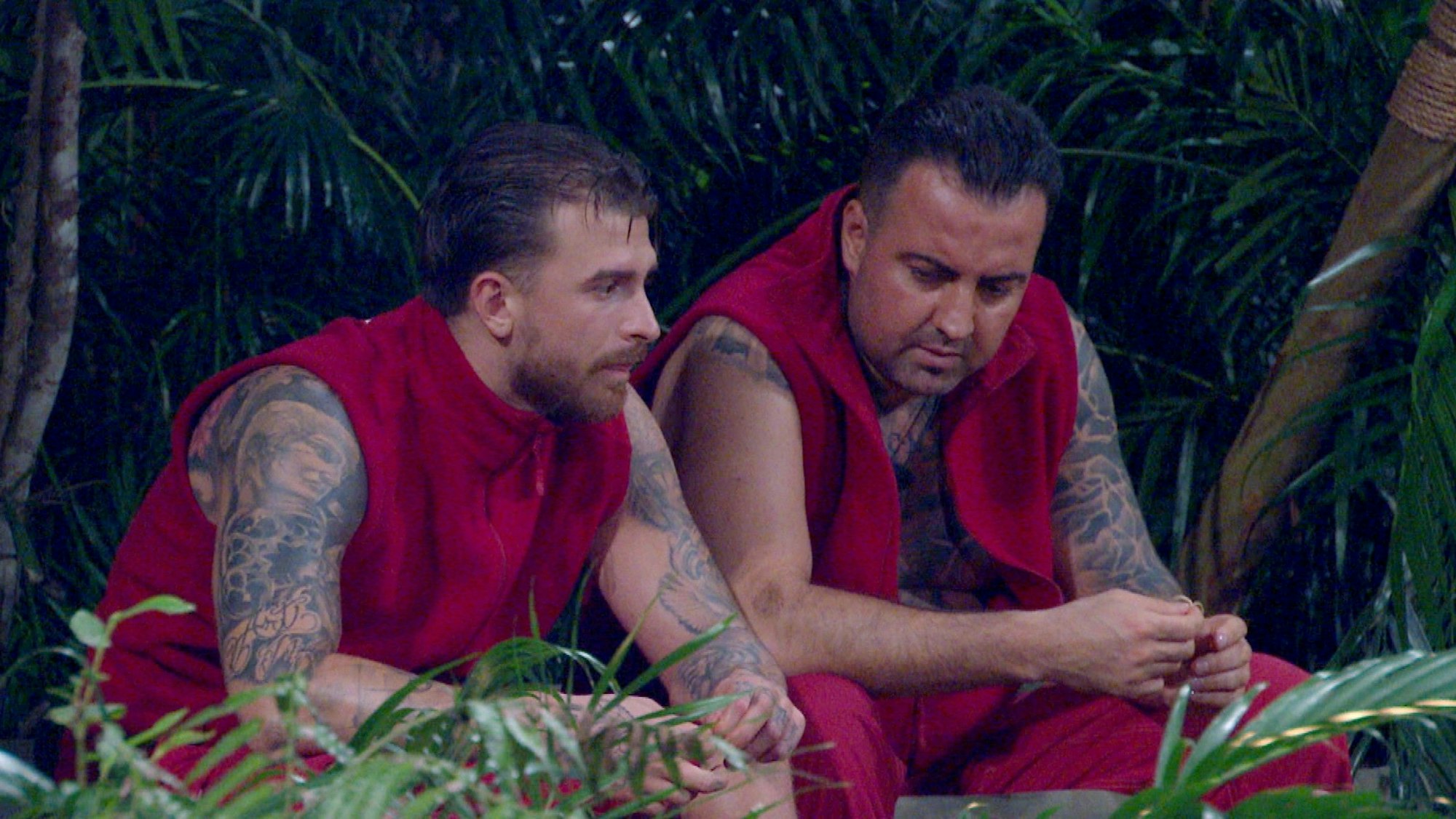 Gigi und Cosimo, hier im Dschungelcamp.