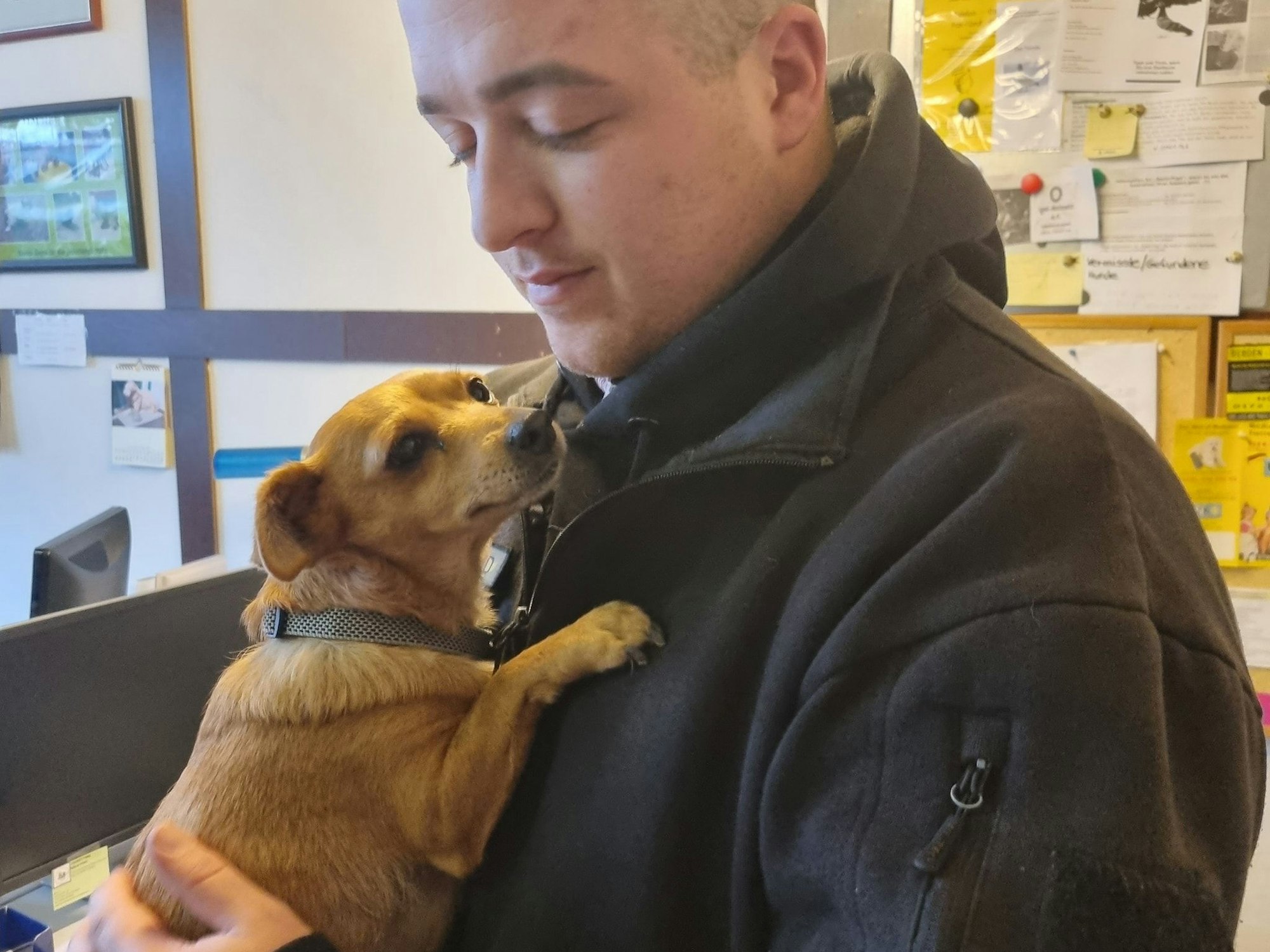 Hündin Lilli ist am Sonntag (22. Januar 2023) im Cargo-Bereich des Flughafens Köln/Bonn entwischt. Sie ist ein Tierschutzhund und kam mit anderen Tieren mit einem Flieger aus Zypern. Nachdem sie gefunden wurde, kam sie zur Tierrettung Köln-Porz. Auf dem Foto hat ein Tierretter Lilli auf dem Arm.