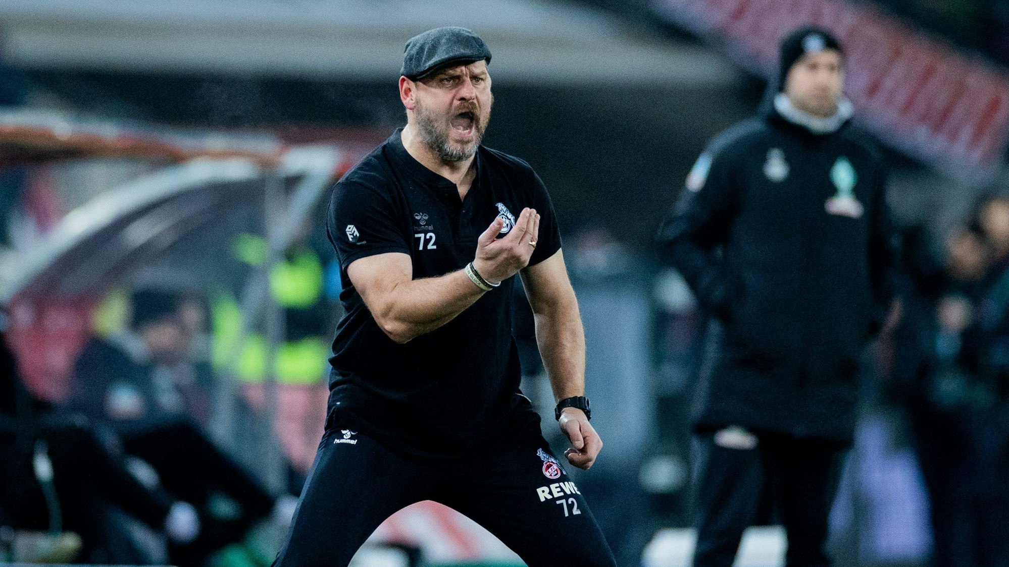 Steffen Baumgart dirigiert den 1. FC Köln an der Seitenlinie gegen Werder Bremen.