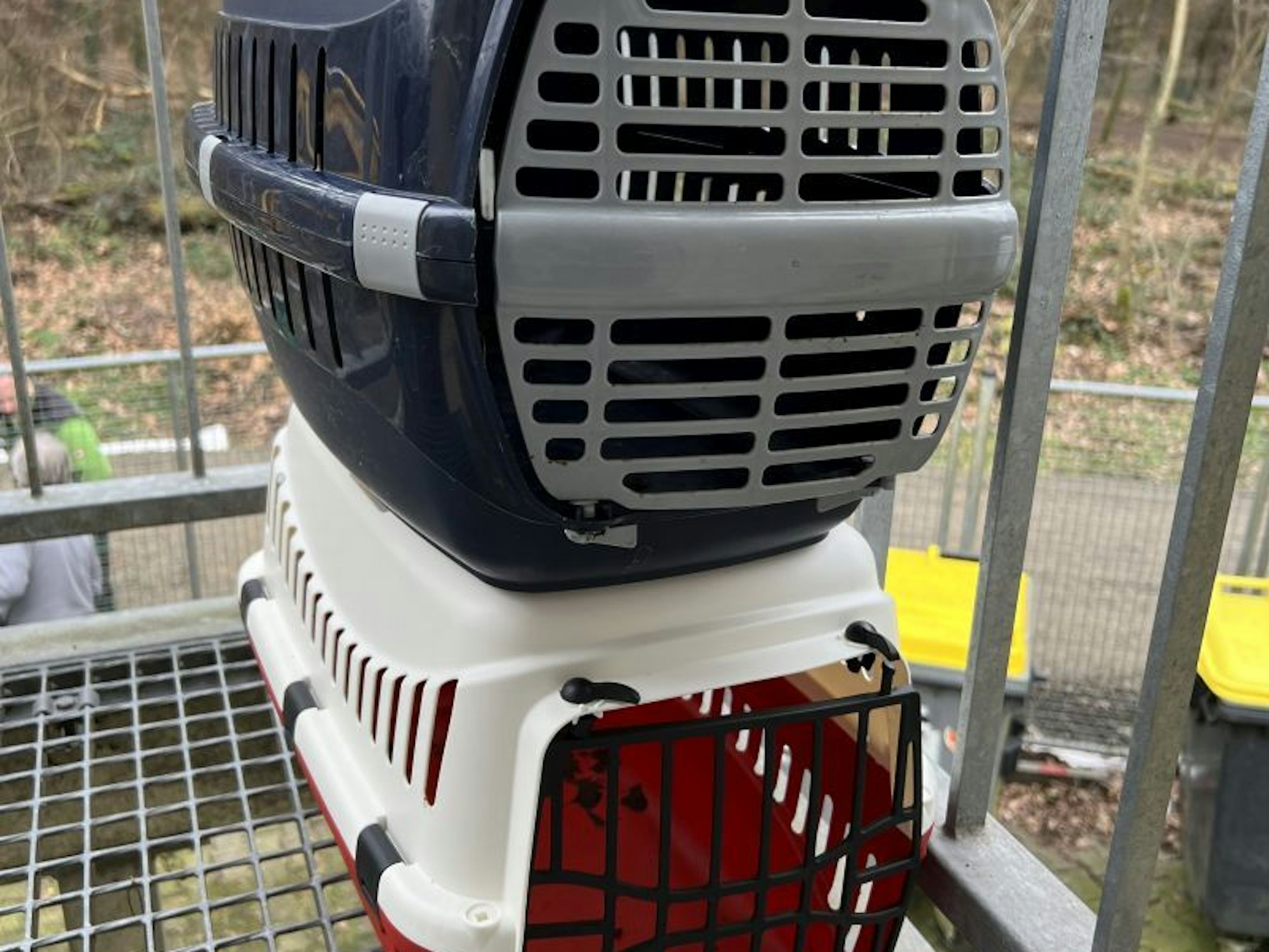 Zwei Tiertransportboxen sind übereinander gestapelt.