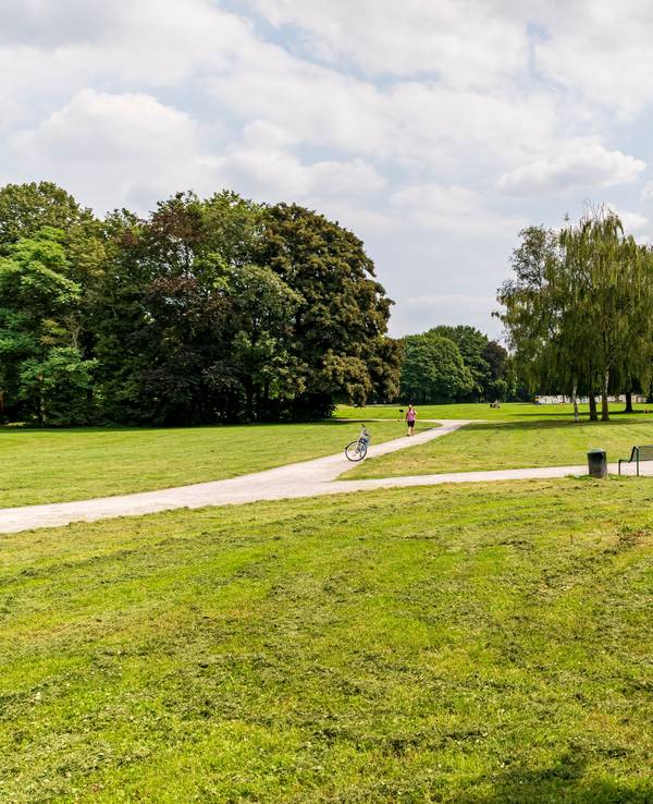 Blick in den Kölner Nordpark. Zwischen hohen Bäumen führen zahlreiche Wege entlang.