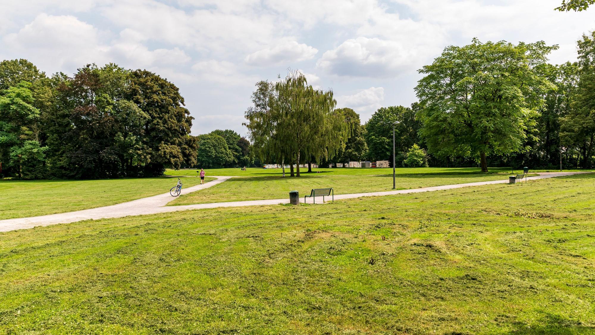 Blick in den Kölner Nordpark. Zwischen hohen Bäumen führen zahlreiche Wege entlang.