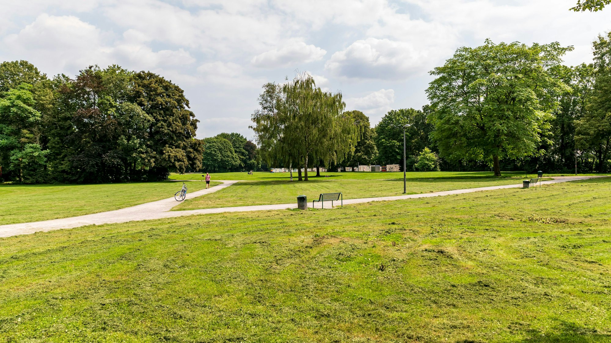 Blick in den Kölner Nordpark. Zwischen hohen Bäumen führen zahlreiche Wege entlang.