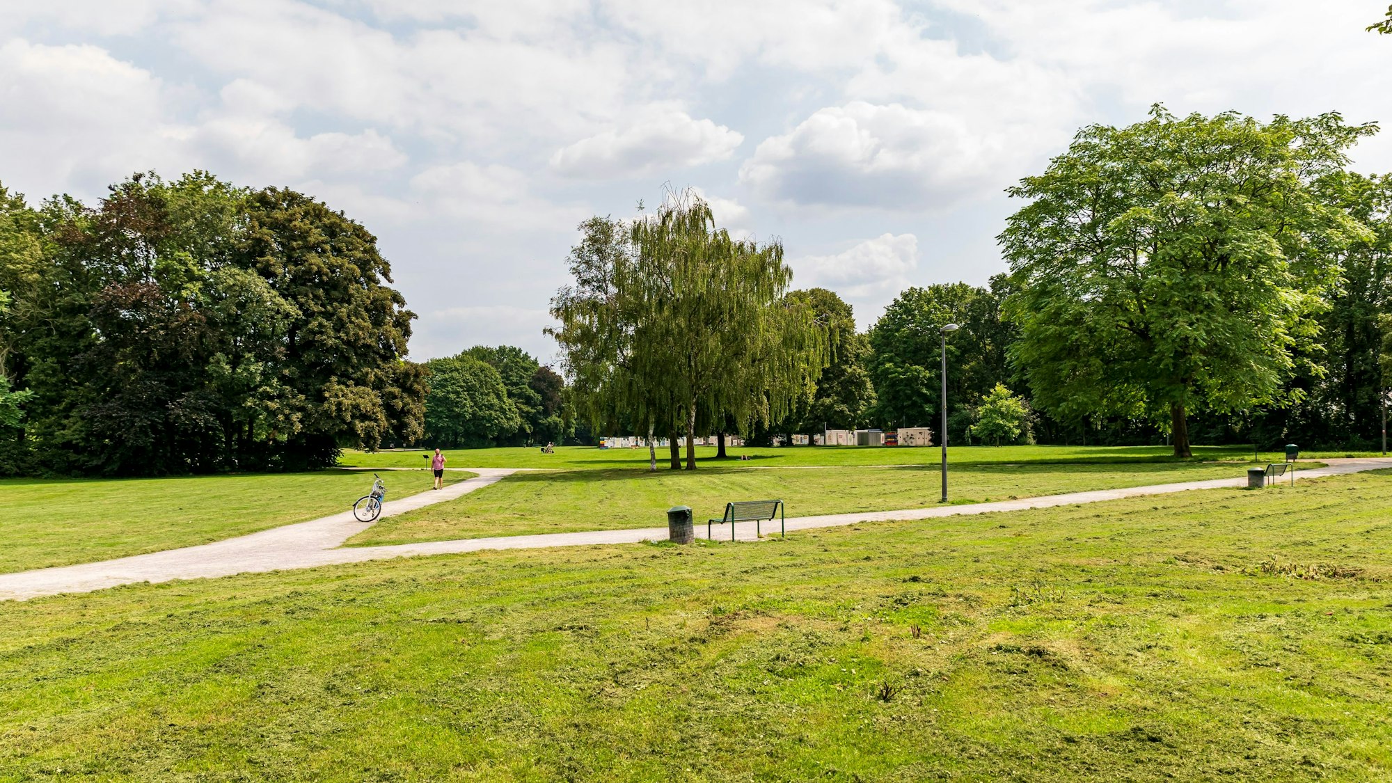 Blick in den Kölner Nordpark. Zwischen hohen Bäumen führen zahlreiche Wege entlang.