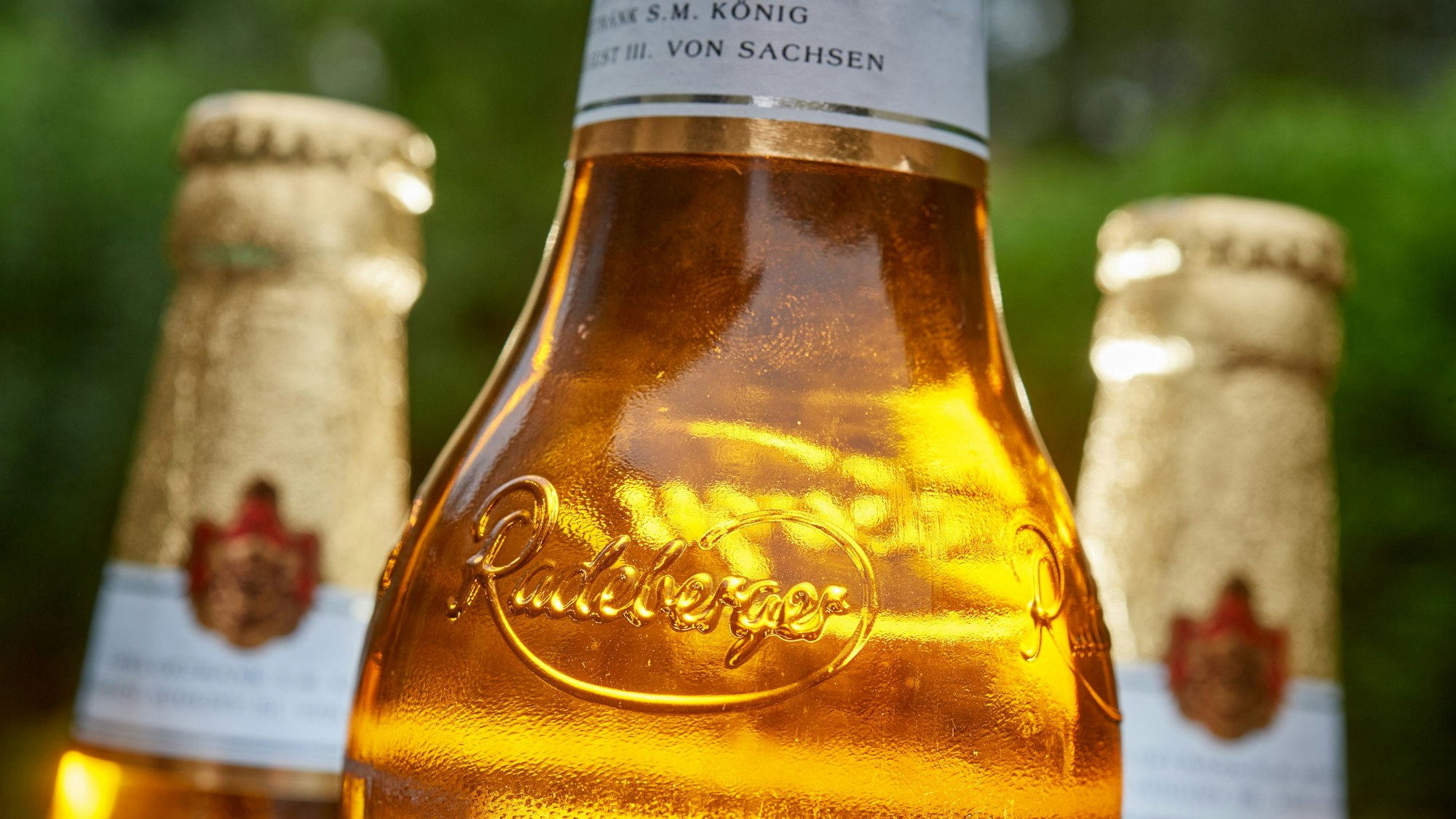 Das Foto aus dem Jahr 2018 zeigt eine volle Radeberger-Bierflasche. Im Hintergrund stehen zwei weitere Flaschen.