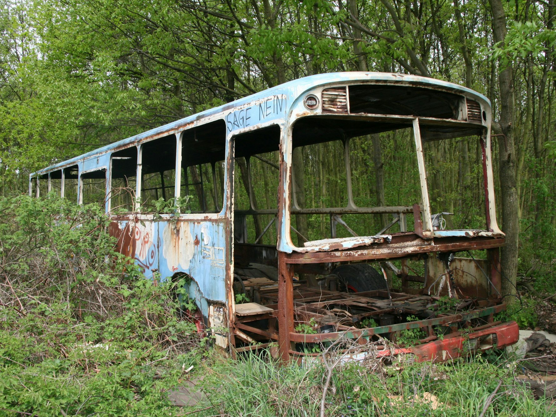 Geisterbus im Gremberger Wäldchen.