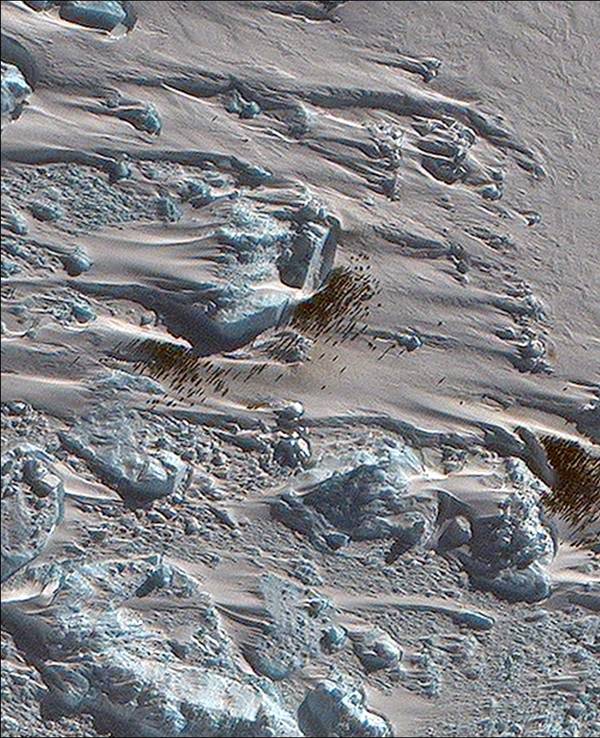 Das undatierte Foto des British Antarctic Survey (BAS) zeigt die neue entdeckte Kolonie von Kaiserpinguinen in der Antarktis. Die Forschenden kamen ihr dank verräterischer brauner Flecken auf die Spur.