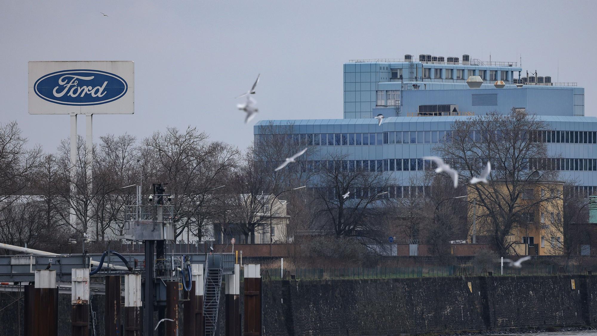 Möwen fliegen vor den Ford-Werken über dem Rhein. Der Autobauer Ford will an seinem Kölner Standort nach Angaben des Betriebsrats im großen Stil Jobs abbauen.