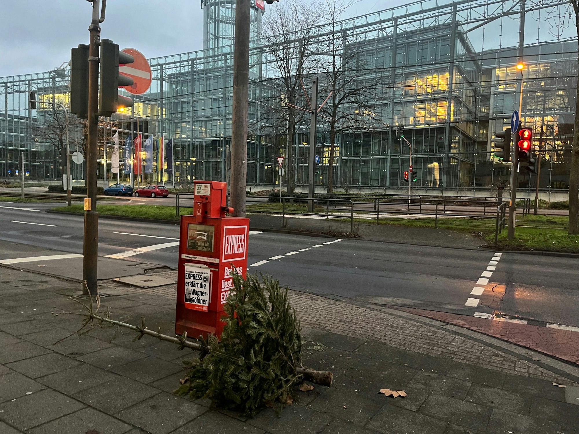 Ein kleiner Weihnachtsbaum liegt im Februar in Köln.