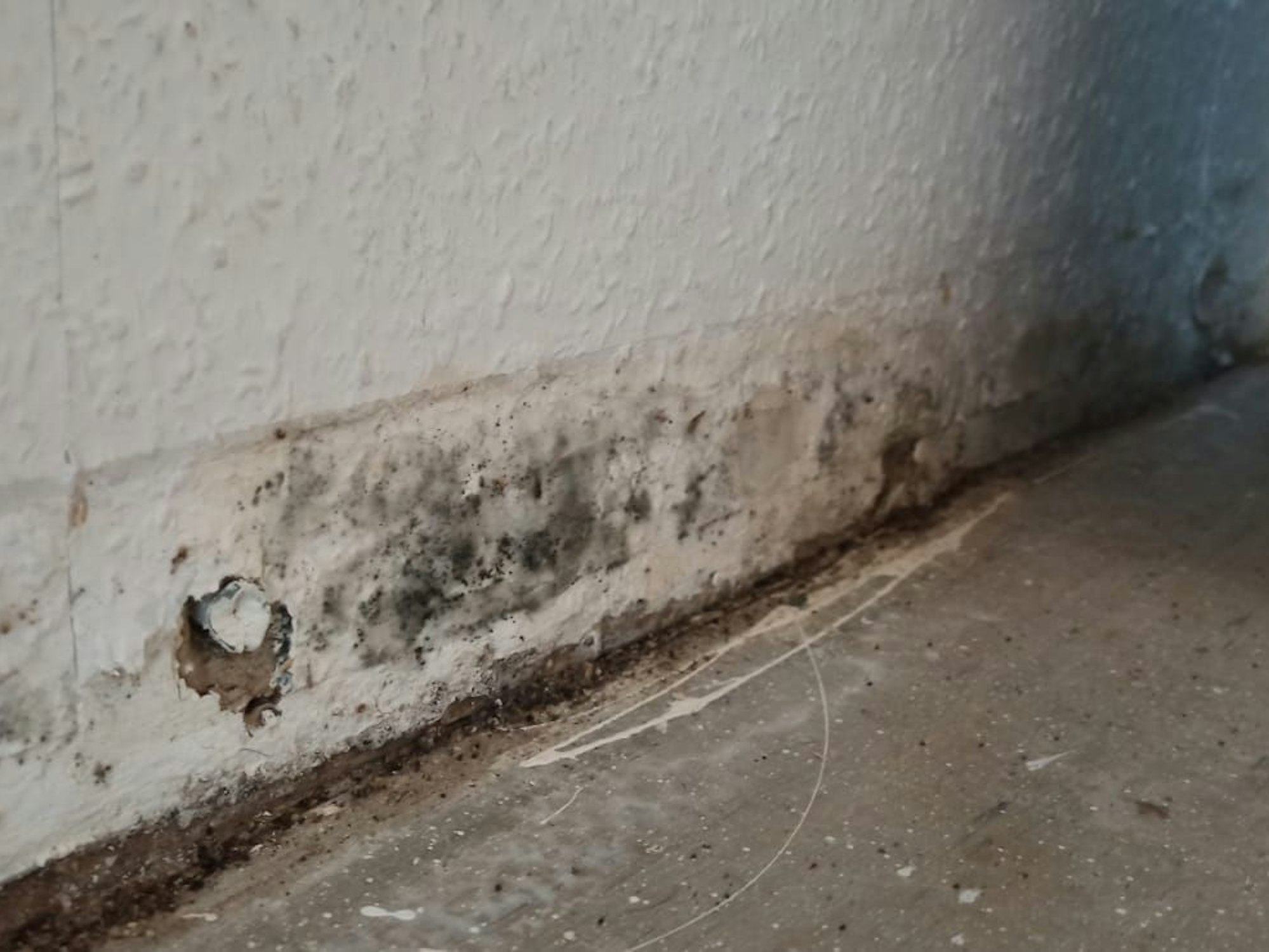 Schimmel in Ben Teshims Wohnung.