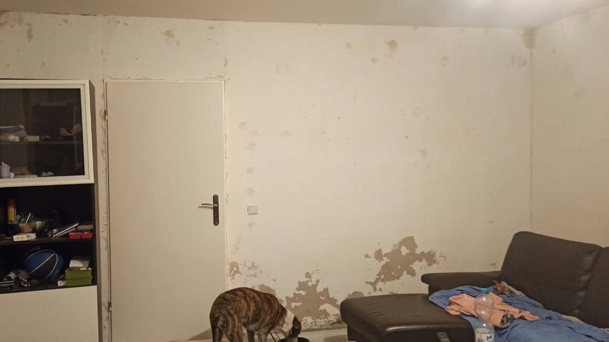 Foto aus der Wohnung von Ben Teshim.