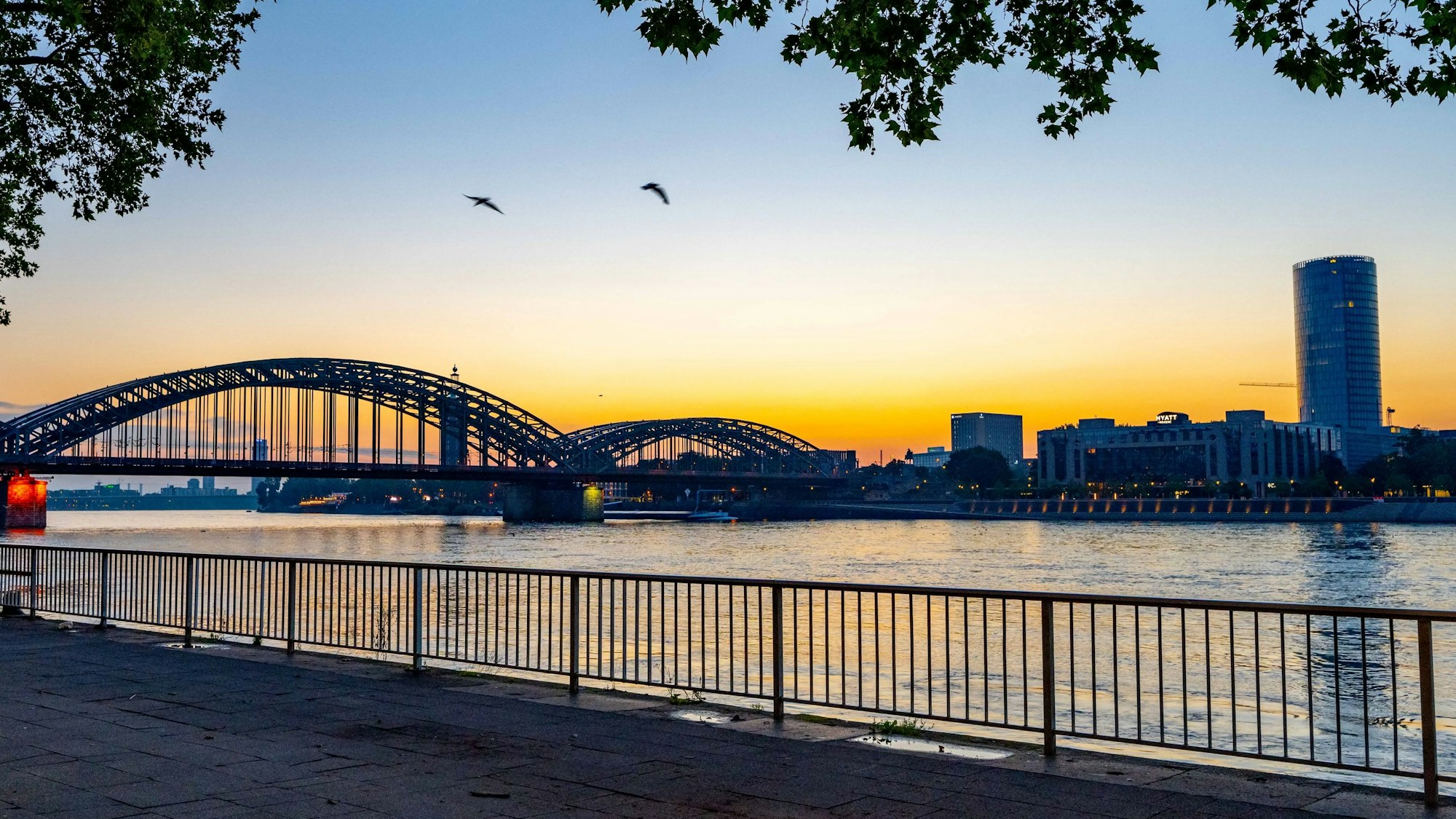 Sonnenaufgang am 25. Juli 2021, am Altstadtufer in Köln, mit Blick auf die Hohenzollernbrücke.