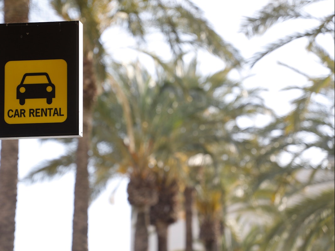 Ein Mietwagenschild mit der Beschriftung „Car Rental“ hängt vor einer Palmen-Allee.