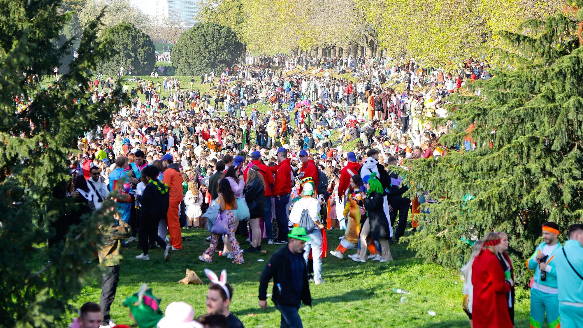 Blick auf die Jecken am 11.11. auf der Kölner Uniwiese.