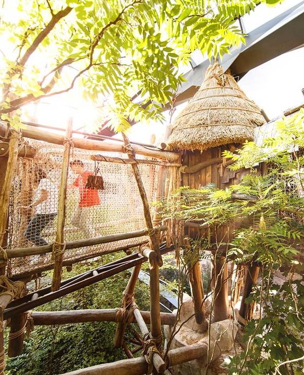 Der Adventure Trail gehört zu den Highlights im Phantasialand.