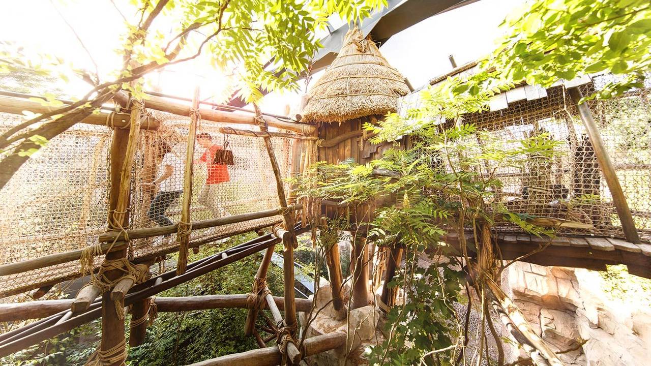 Der Adventure Trail gehört zu den Highlights im Phantasialand.