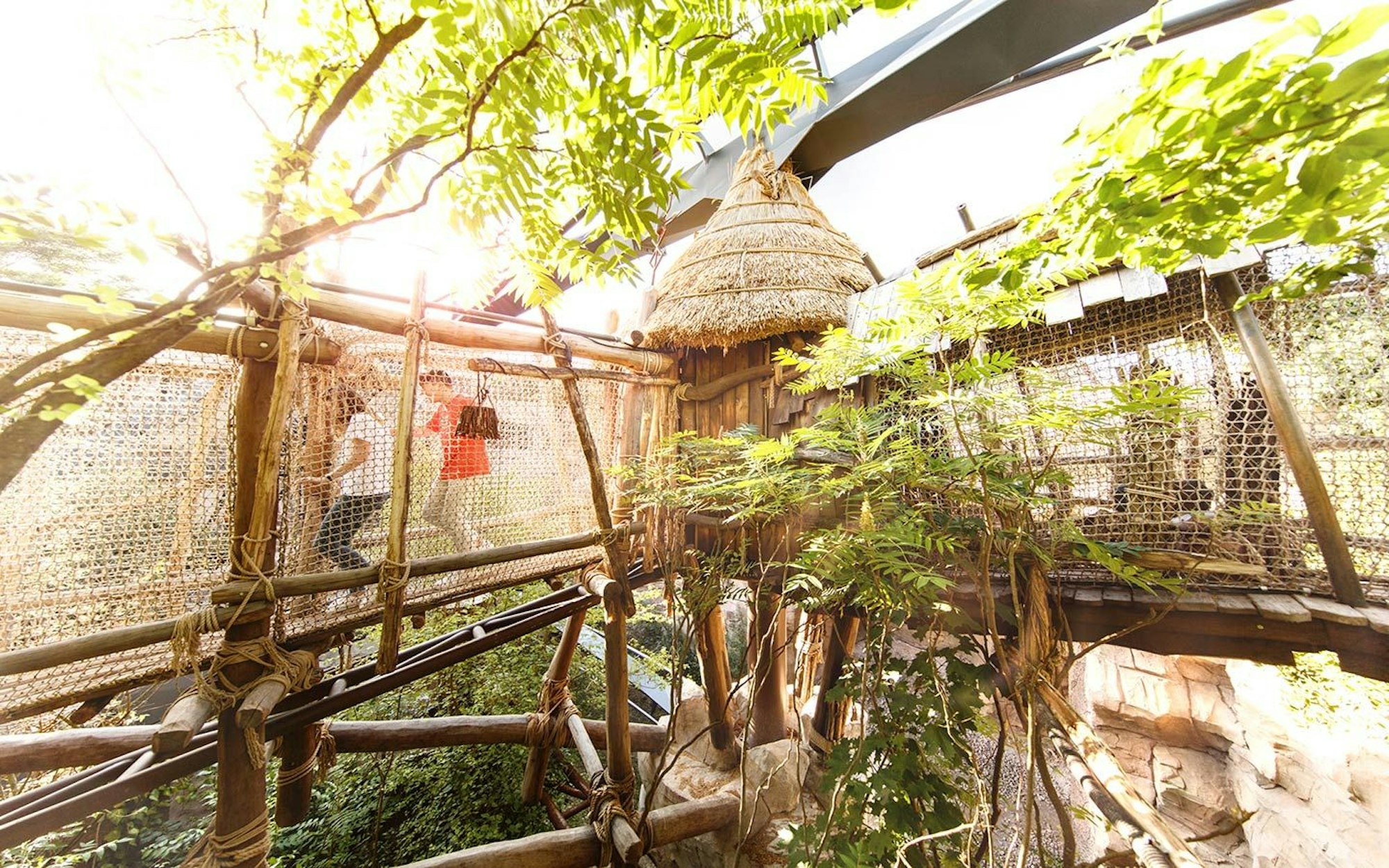 Der Adventure Trail gehört zu den Highlights im Phantasialand.
