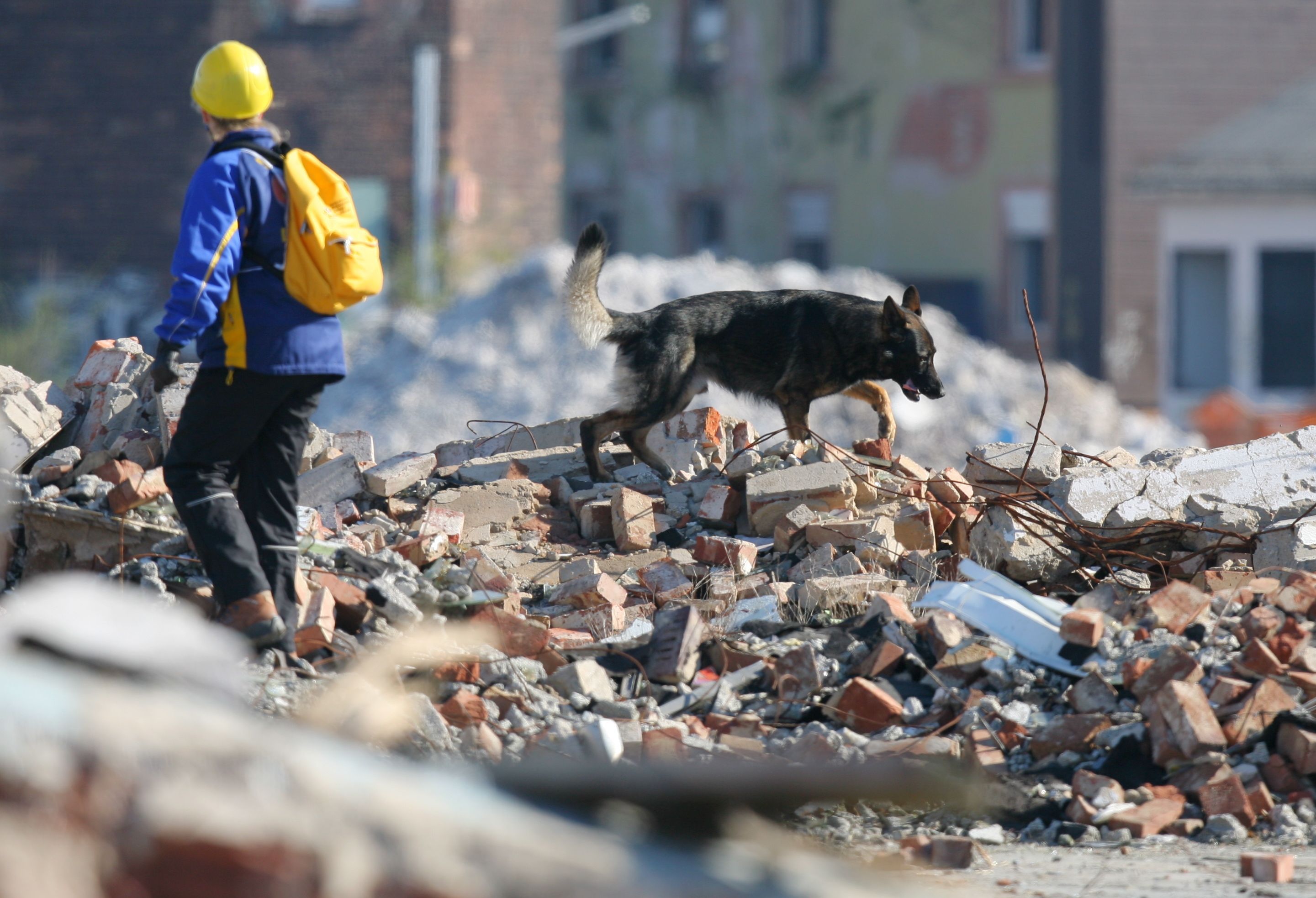 Eine Hundeführerin geht mit ihrem Schäferhund bei der 2. Internationalen Deutschen Meisterschaft für Rettungshunde in Darmstadt über ein Trümmerfeld.