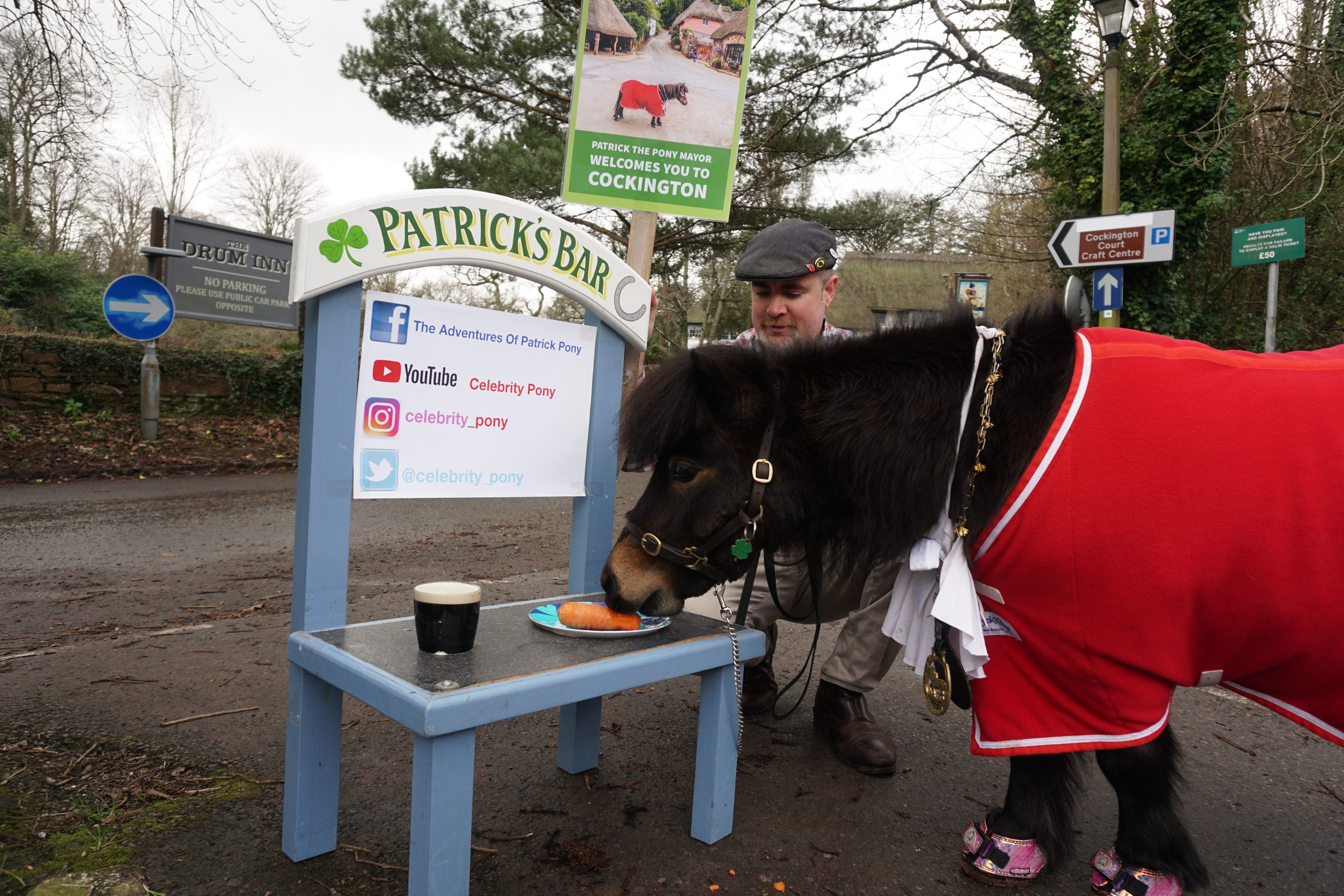 Das Shetland-Pony Patrick, inoffizieller Bürgermeister des englischen Dorfes Cockington, futtert nach seinem Dorfspaziergang an seiner mobilen, hellblauen „Patrick·s Bar“ eine Karotte und nimmt einen Schluck Guiness - in Maßen sei das gesund für Ponys, sind seine Besitzer überzeugt.