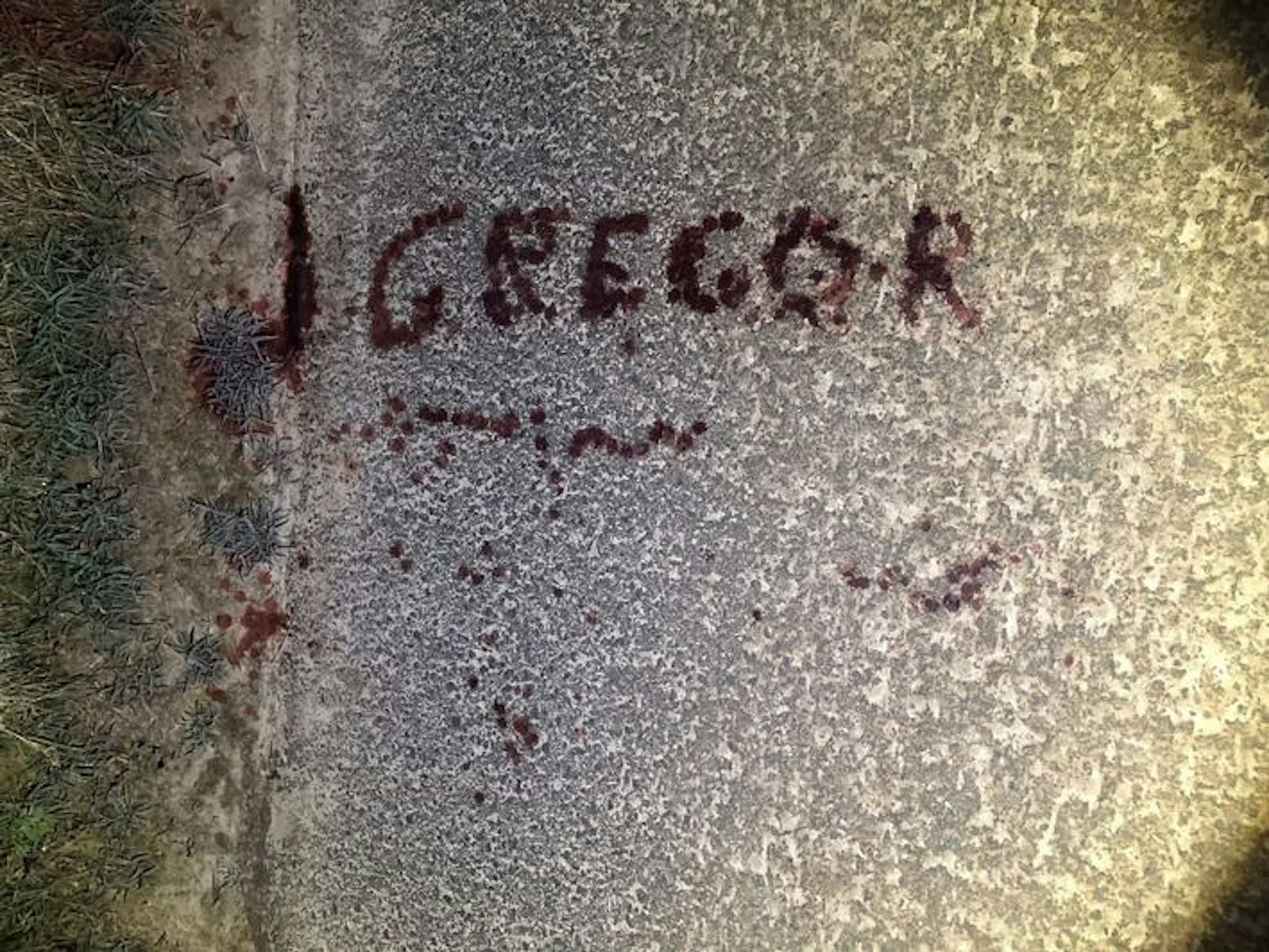„Gregor“ in riesigen Lettern mit Blut geschrieben. Das Foto wurde aus der Luft aufgenommen, es zeigt den Feldweg in Bad Driburg in NRW.