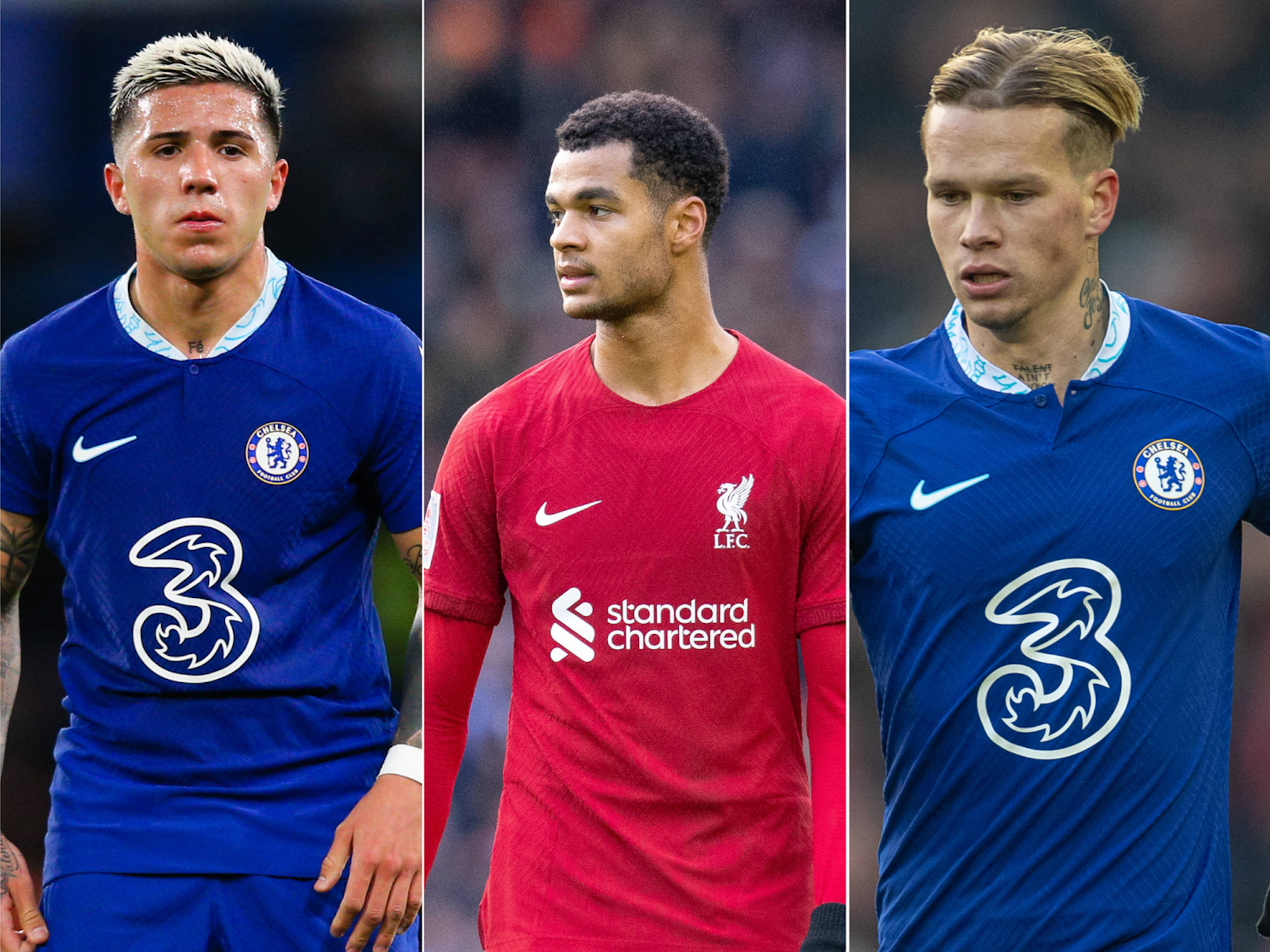 Enzo Fernández, Cody Gakpo und Mykhaylo Mudryk in Aktion.