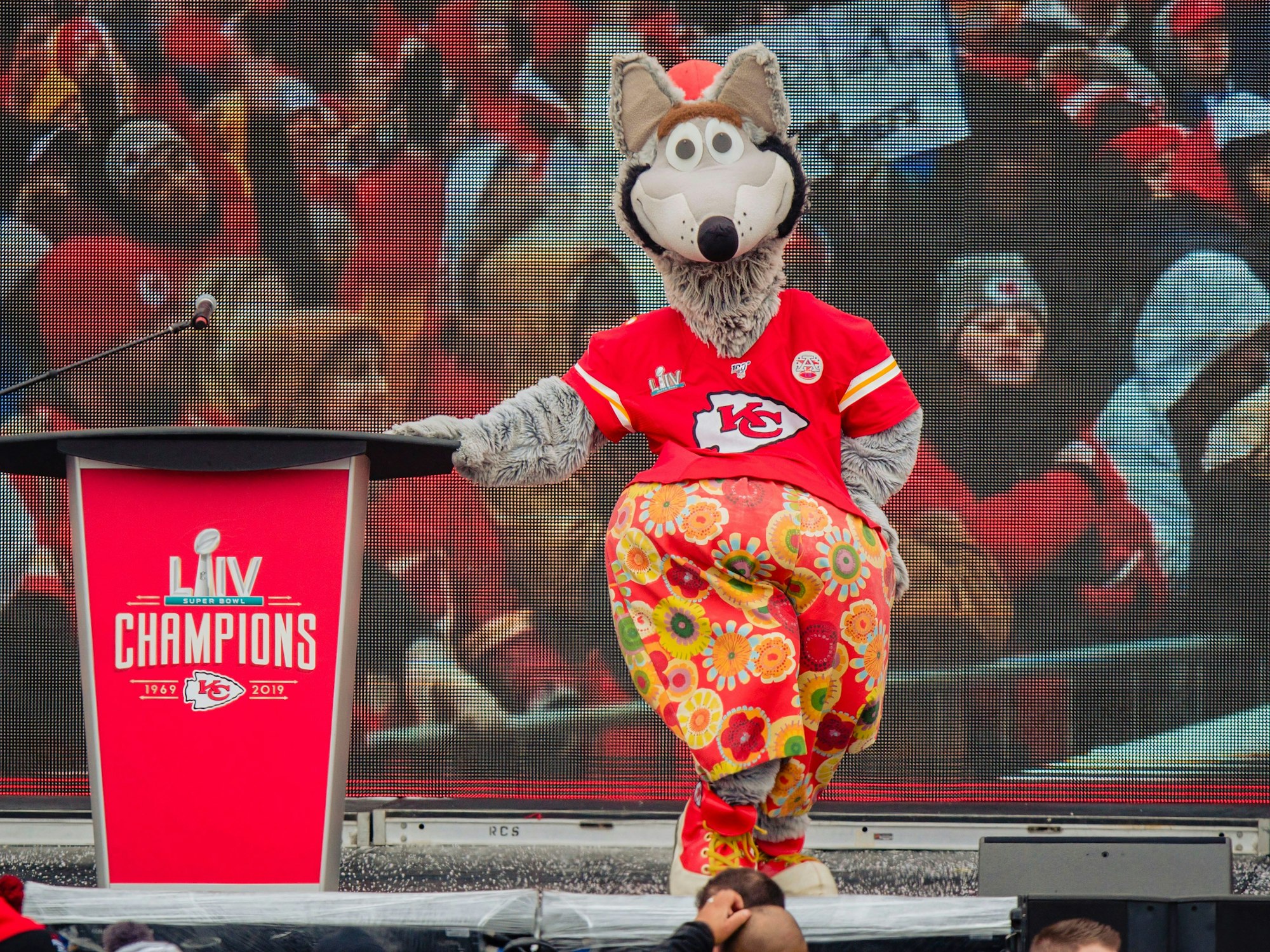 Das Maskottchen der Kansas City Chiefs, KC Wolf