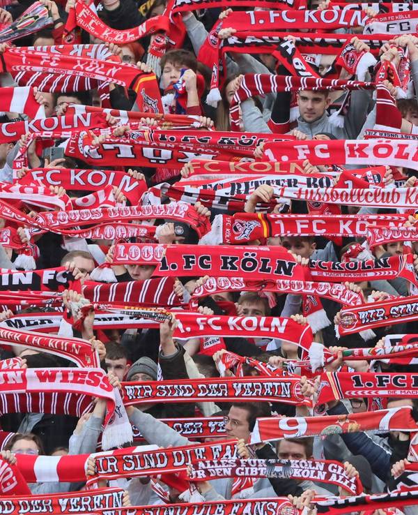 Fans des 1. FC Köln halten ihre Schals hoch.