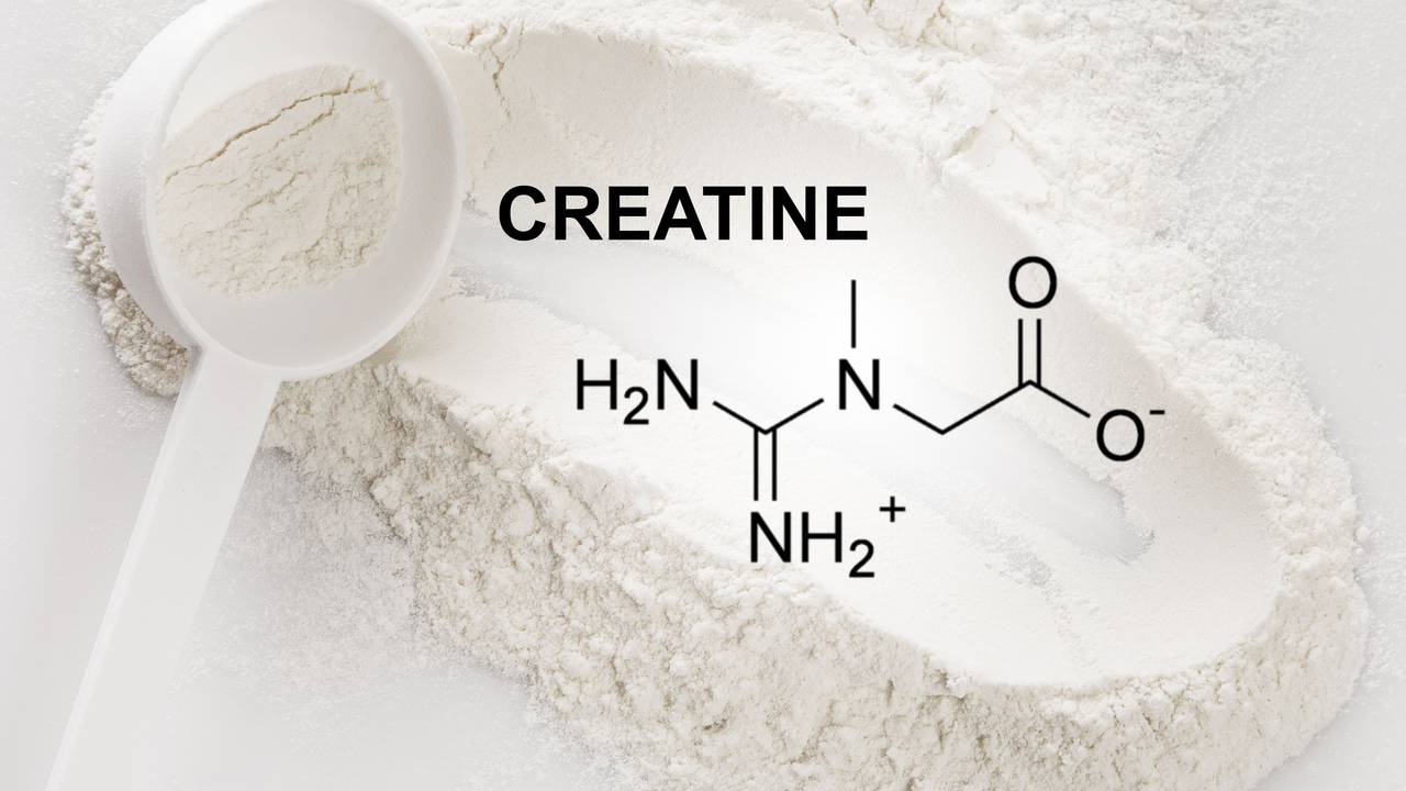 Closeup of scoop with creatine monohydrate supplement and chemical formula
