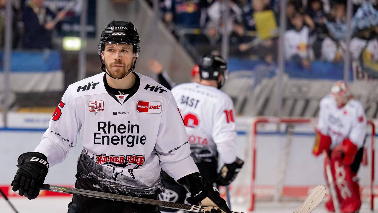 Carter Proft Koelner Haie, 55. EHC Red Bull Muenchen gegen Koelner Haie, Eishockey, DEL, 51. Spieltag, Saison 2022/2023, 12.02.2023. EHC Red Bull Muenchen gegen Koelner Haie, Eishockey, DEL, 51. Spieltag, Saison 2022/2023, 12.02.2023. Muenchen *** Carter Proft Koelner Haie, 55 EHC Red Bull Muenchen vs Koelner Haie, ice hockey, DEL, 51 matchday, season 2022 2023, 12 02 2023 EHC Red Bull Muenchen vs Koelner Haie, ice hockey, DEL, 51 matchday, season 2022 2023, 12 02 2023 Muenchen Copyright: xEibner-Pressefoto/HeikexFeinerx EP_HFR