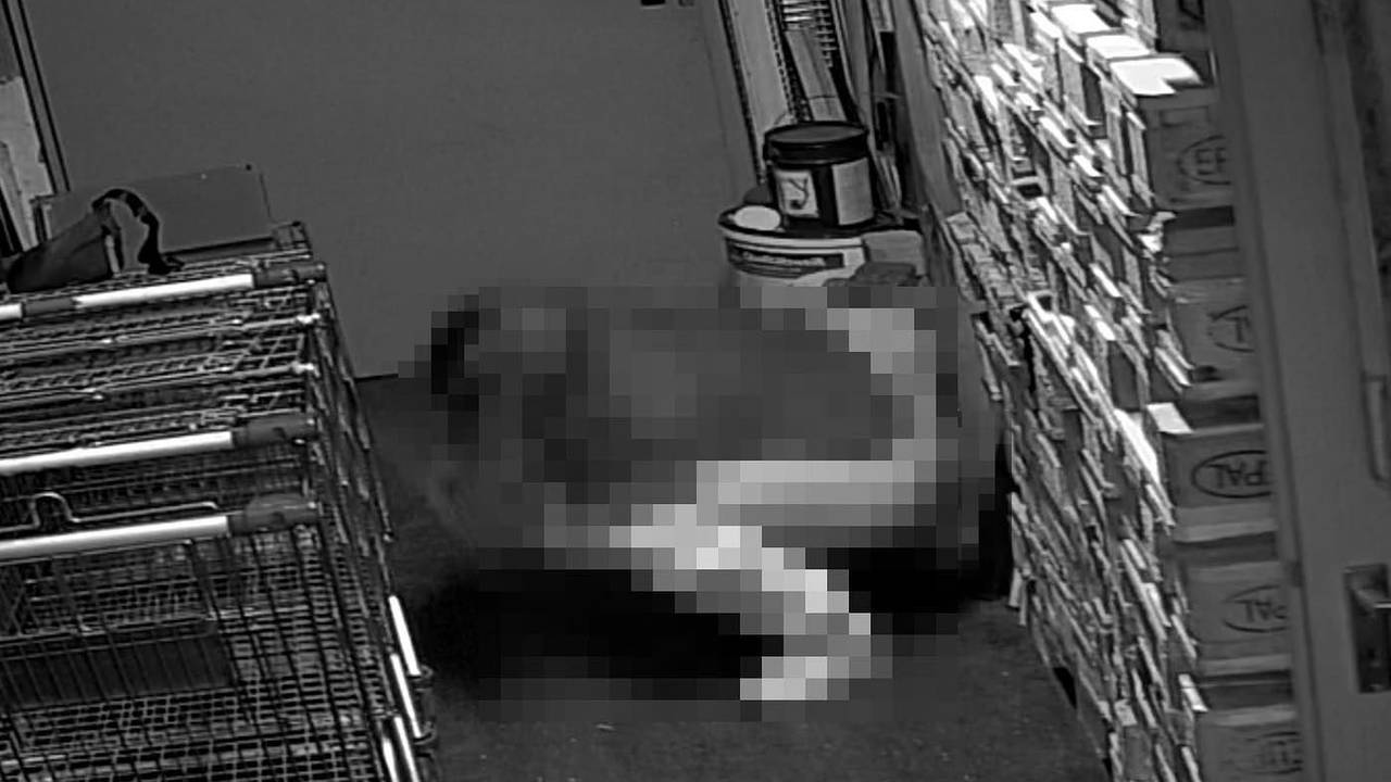 Eine Frau erleichtert sich in der Tiefgarage des Asia Supermarktes. Links befinden sich Einkaufswagen, rechts stehen leere Holzpaletten.