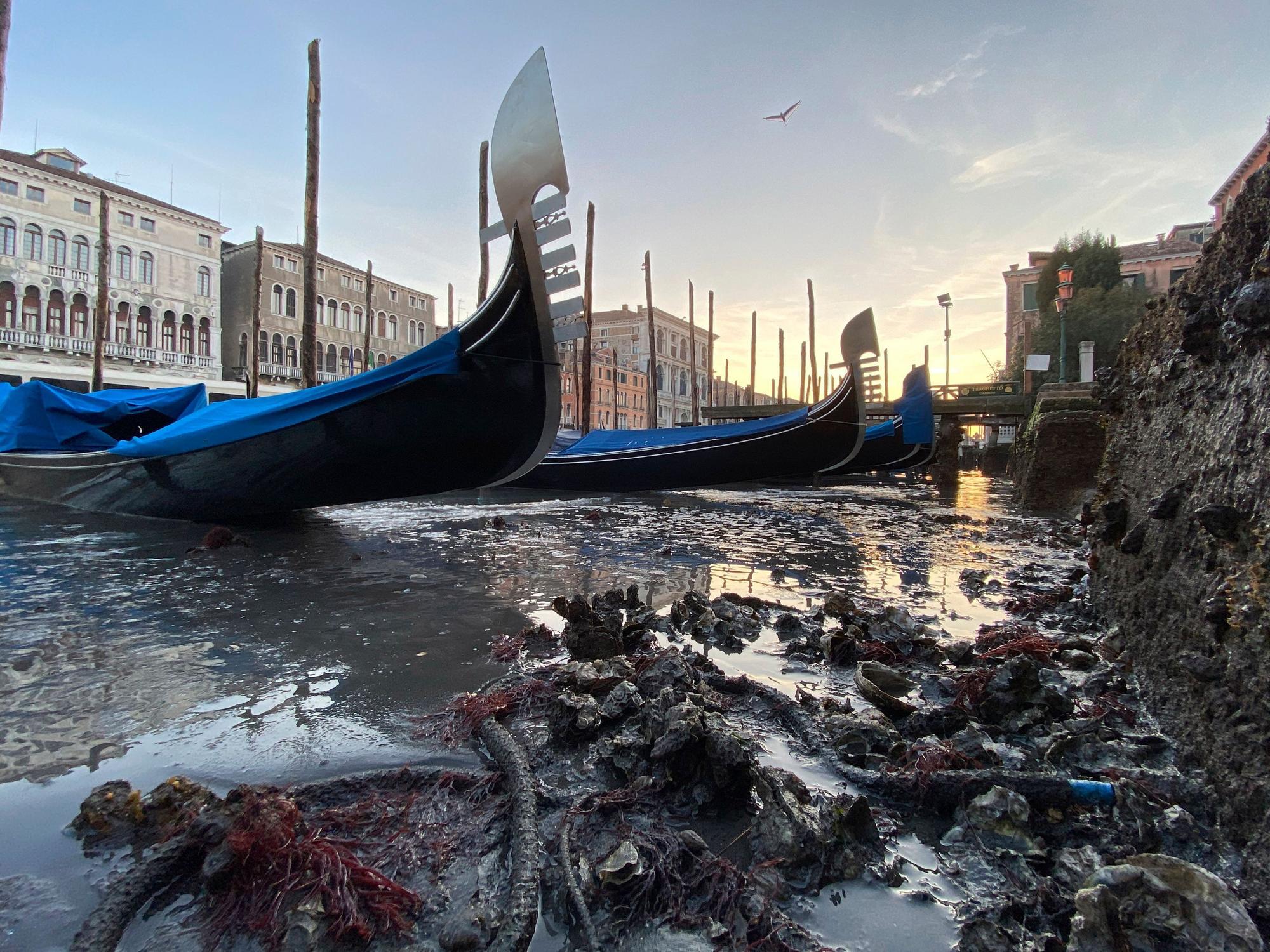 Niedrigwasser in Venedig ist eine Seltenheit, wie ein Foto aus dem Jahr 2020 zeigt. Aktuell leidet die Lagunenstadt unter einem außergewöhnlichen Wetterphänomen.