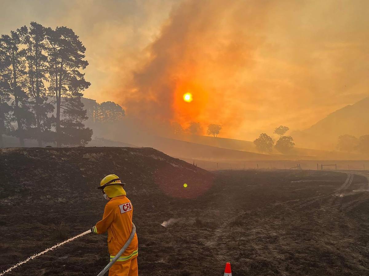 Ein Feuerwehrmann aus Melbourne versucht, das Grasfeuer in der Nähe von Flowerdale unter Kontrolle zu bringen.
