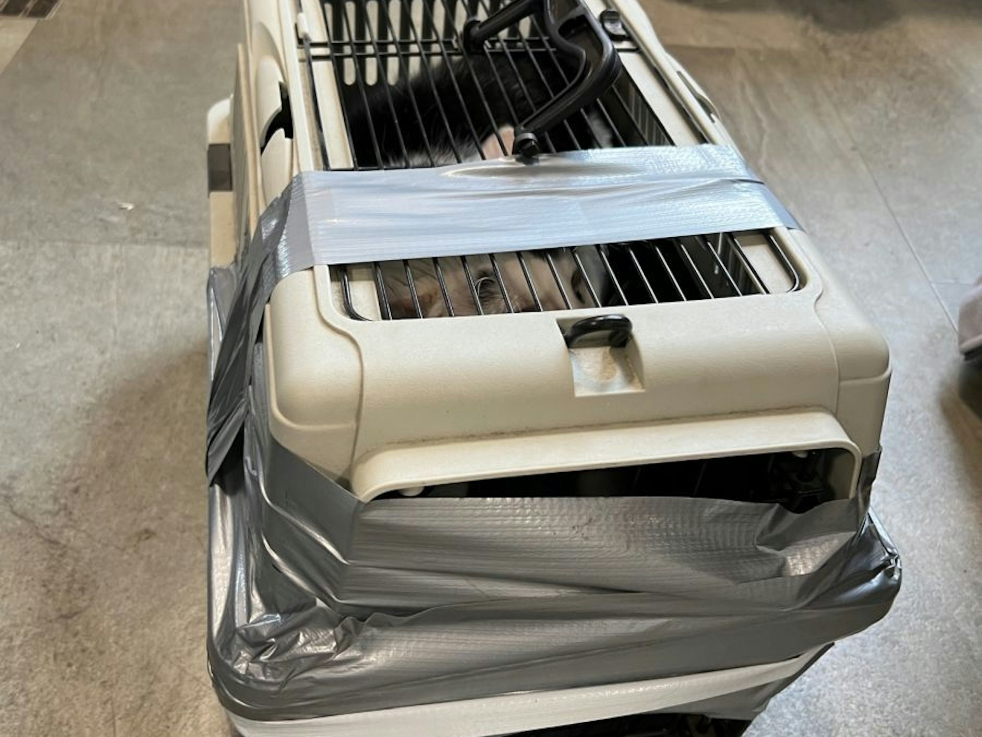 Eine Transportbox für Kleintiere ist mit Klebeband umwickelt.