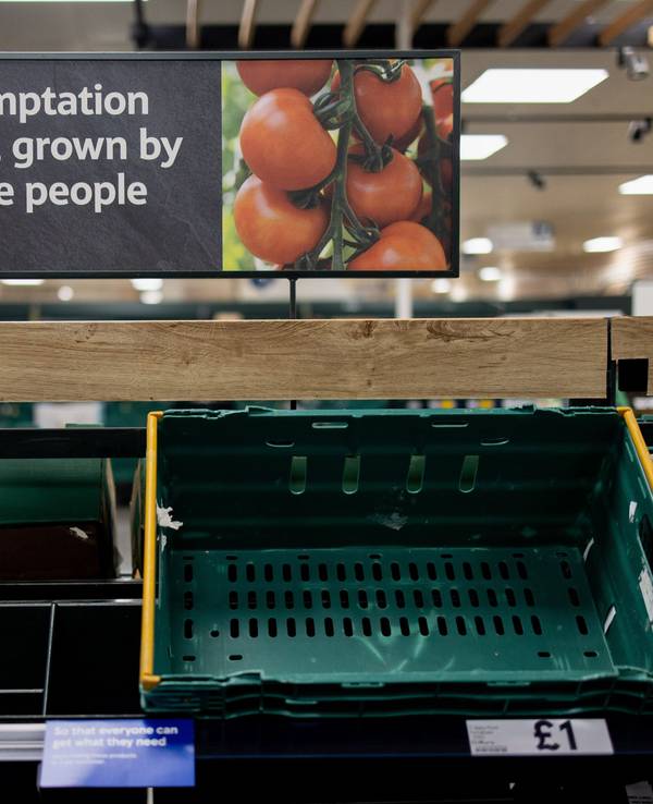 In einem Tesco-Supermarkt hängt ein Schild an den Regalen, das die Kunden an die geltenden Einkaufsbeschränkungen erinnert. Tomaten, Paprikas und weitere Obst- und Gemüsesorten sind zurzeit Mangelware in Großbritannien.