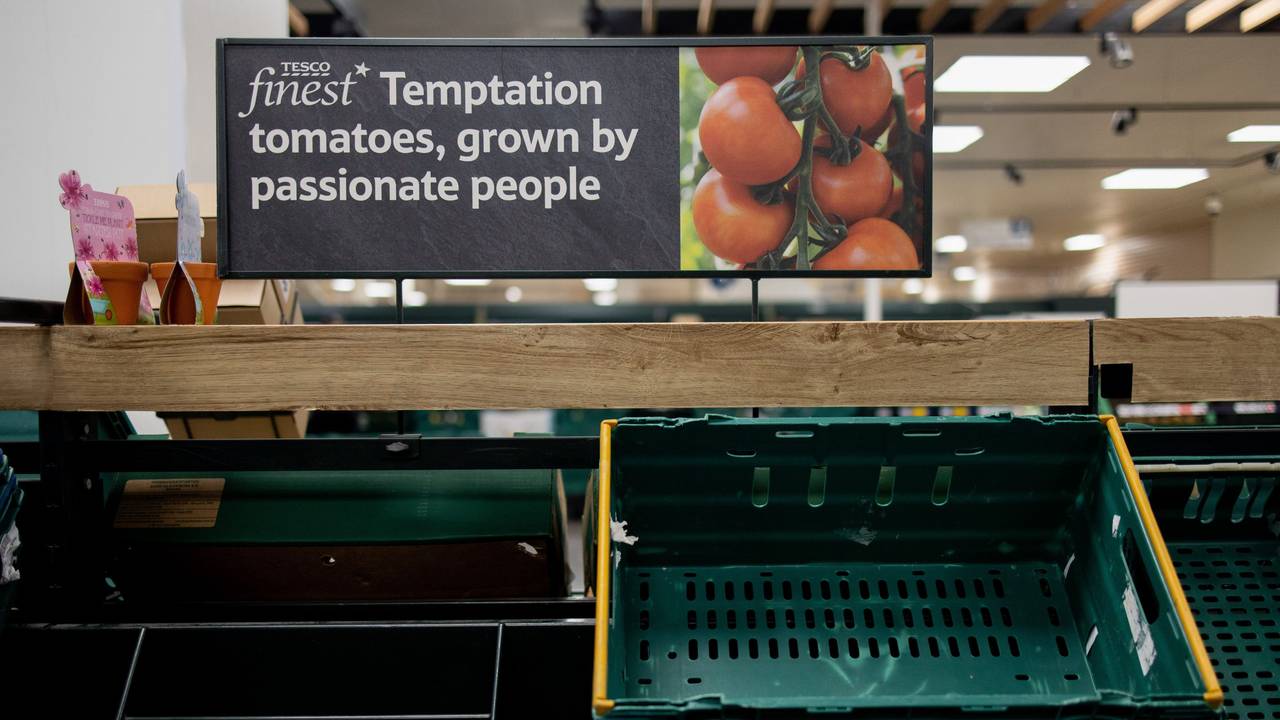 In einem Tesco-Supermarkt hängt ein Schild an den Regalen, das die Kunden an die geltenden Einkaufsbeschränkungen erinnert. Tomaten, Paprikas und weitere Obst- und Gemüsesorten sind zurzeit Mangelware in Großbritannien.